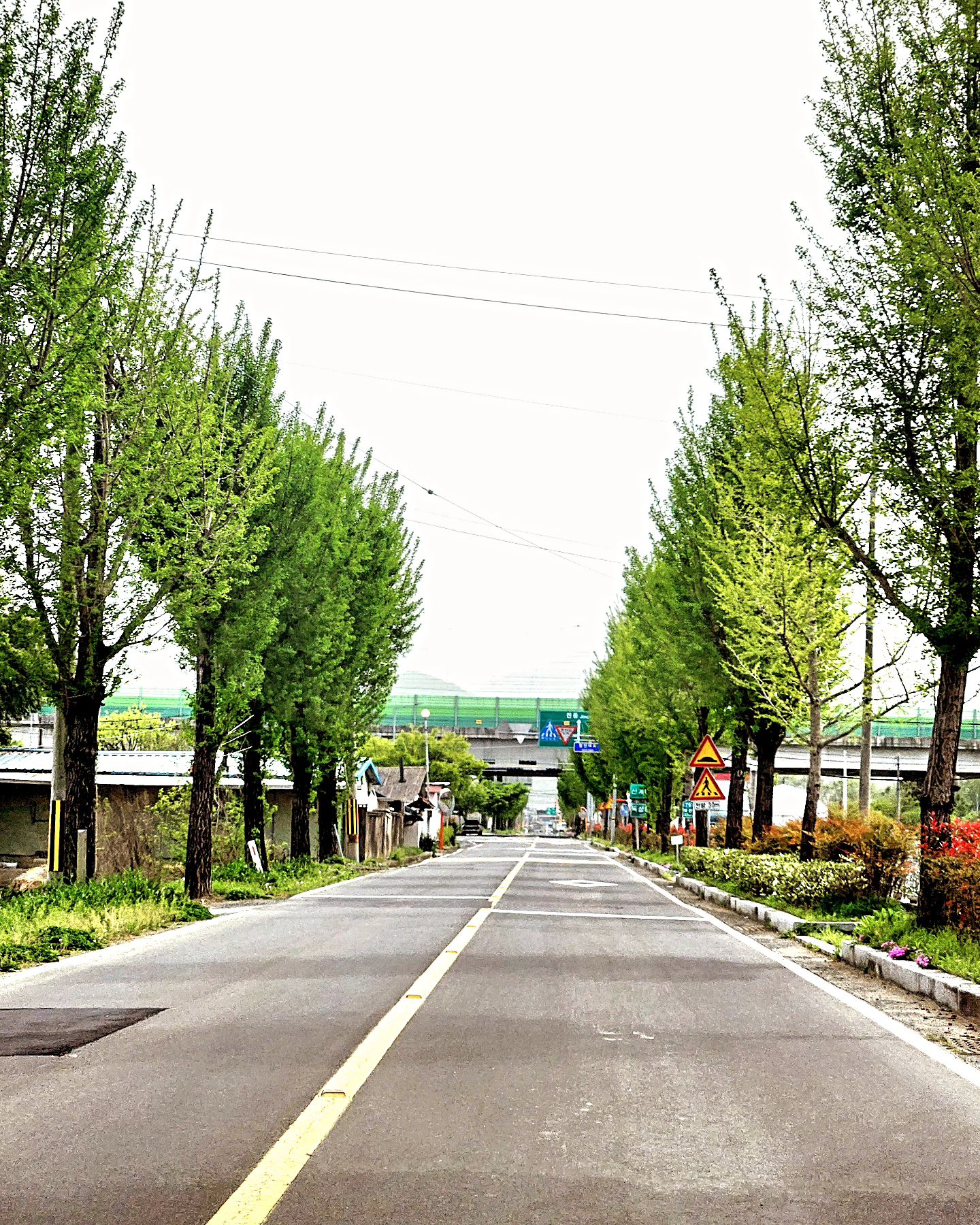 아빠가 보고 싶어
#반차 내고
아빠에게 달려갔다 옴

#커피 한 잔 들고서
아빠 옆에 앉아서 
엄마랑 주저리주저리 30분을
수다 떨고 옴.

아빠 딸래미가 놀러와서
반갑지? 좋지?
여전히 #아빠바라기
#40대딸래미