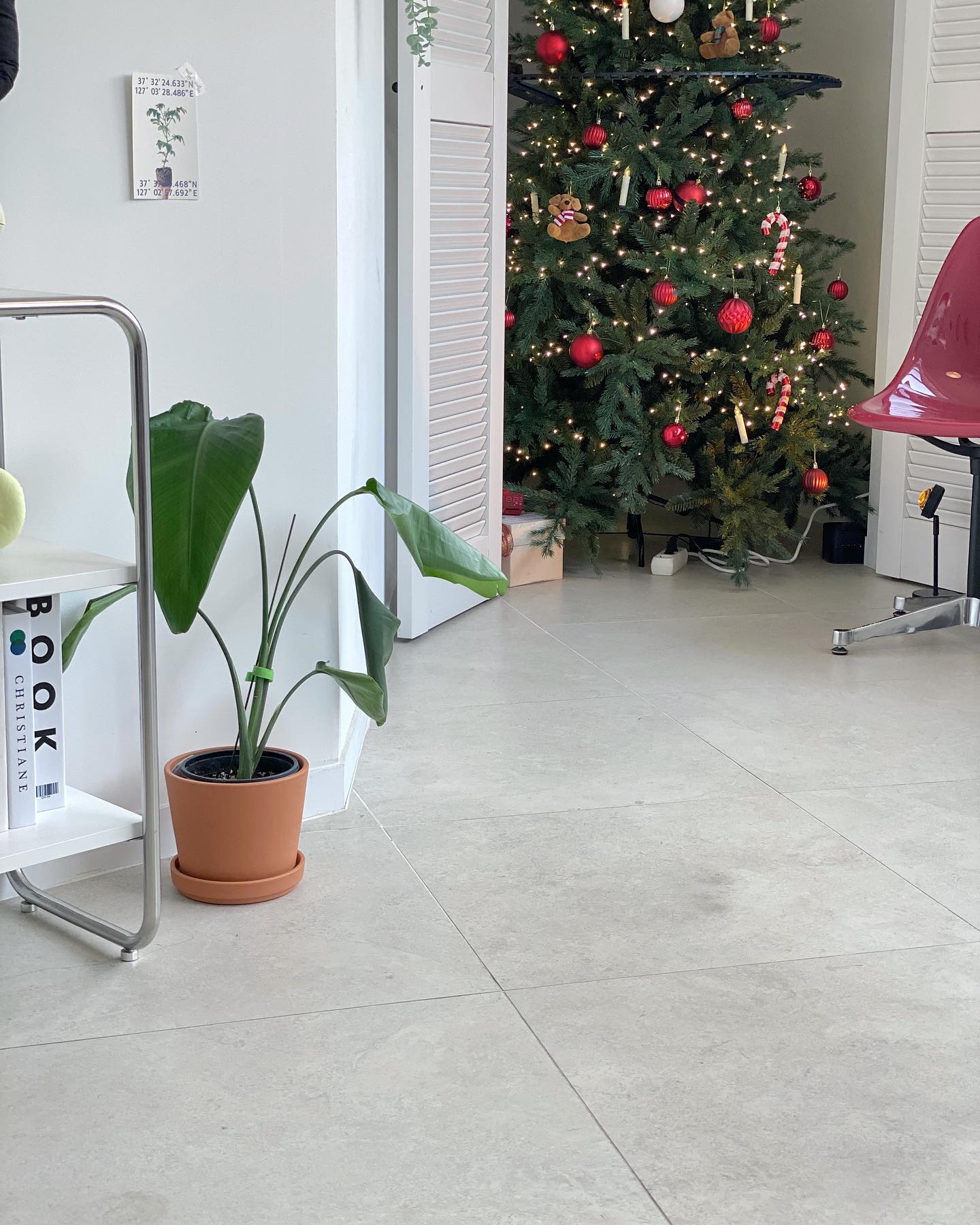 🎄 
한 해가 가는 건 아쉬운데 
또 크리스마스는 기다려지구 … 🤍