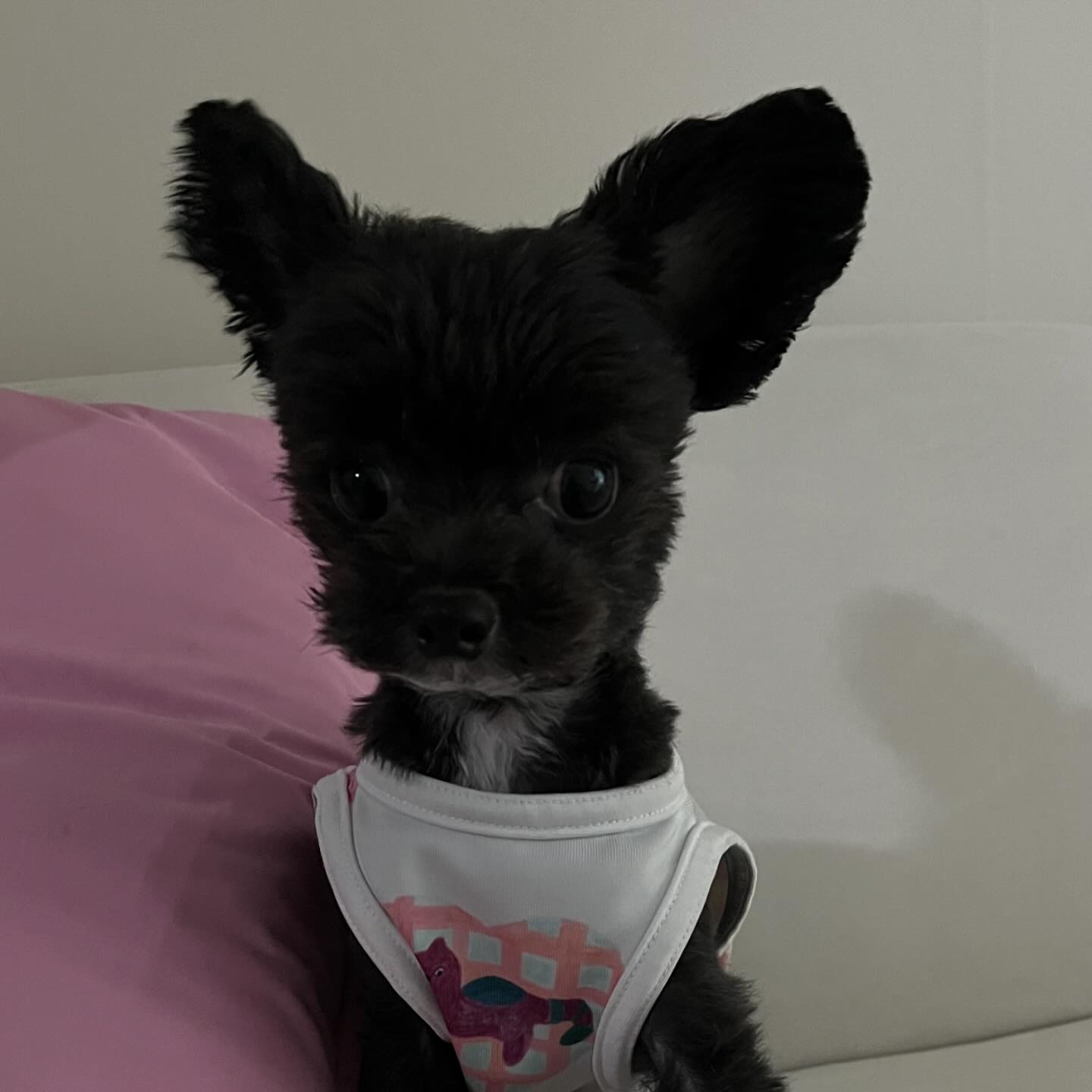 오늘두 힘내ㅅㅔ여🎵