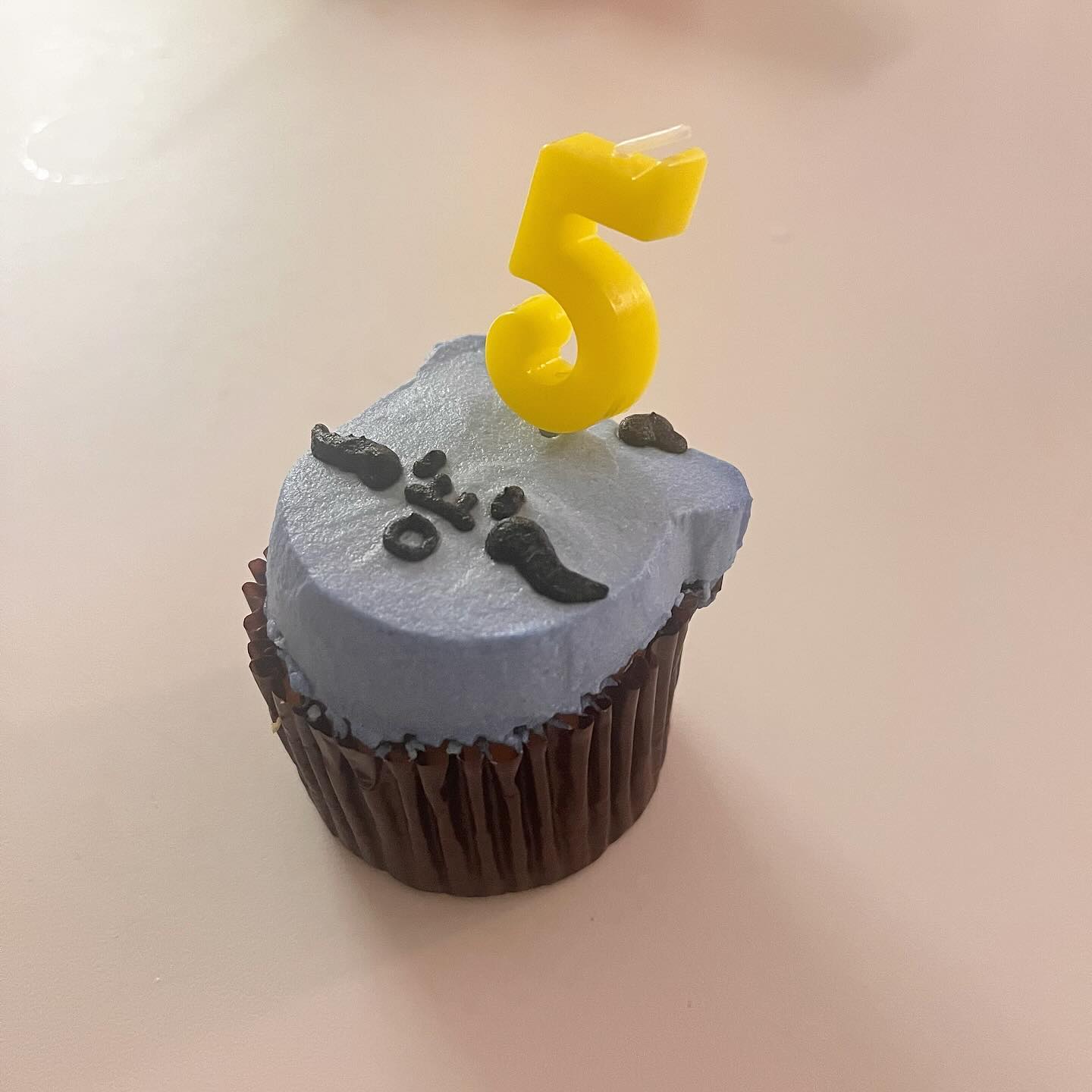 오늘은 우리집 멋쟁이 봉봉이의 5번째 생일 🎉