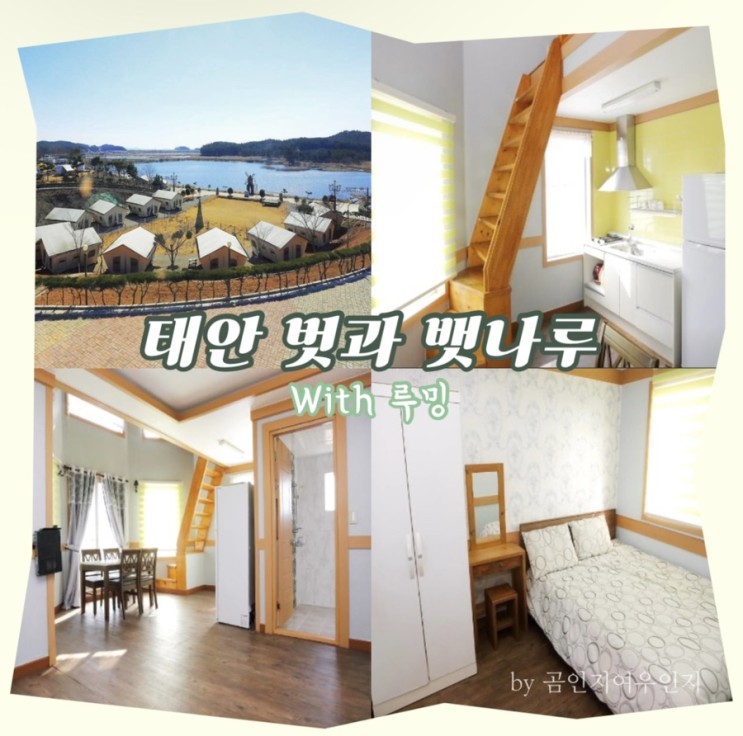 우정여행으로 태안 [벗과뱃나루] 직거래 예약