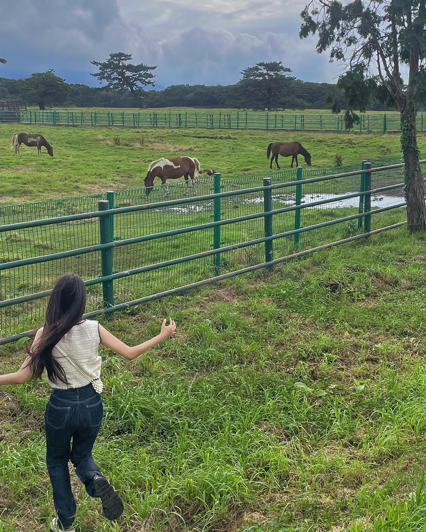 제주도 길거리에서 산 귀염뽀짝 조끼