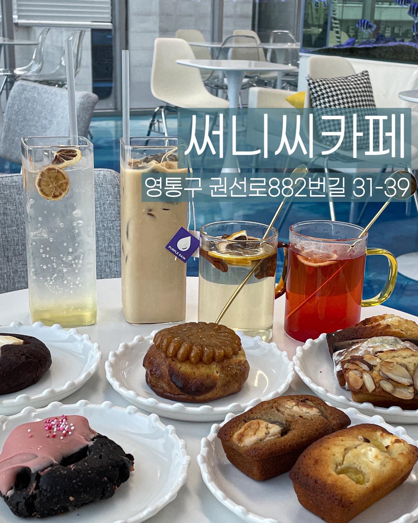 #댓글이벤트

- 제공 내용 : 1만원권(5명)
- 응모기간 : 23.12.20 - 24.01.03
- 당첨 발표 : 24.01.04 / 스토리에 당첨자 태그하여 발표

- 참여 방법
: tturaveller 팔로우 / 해당게시물 좋아요 / 댓글에 친구 태그 시 자동참여
*태그당하여 대댓글 달아도 친구태그되어 참여인정

- 선정방식
 : 댓글 자동추첨기로 랜덤 추첨(참여계정 팔로워 수, 댓글내용 기준 X), 추첨 후 팔로우 여부 확인, 아닐 시 선정 취소 후 재추첨

 원활한 진행 위해 당첨 완료 DM 48시간 내 답장 없을 시 취소 후 재추첨하여 다른분께 기회가 돌아갑니다.

📍써니씨카페
✔️ 영통구 권선로882번길 31-39 4층
✔️월-금 12:00 - 22:00
  토,일 11:00 - 22:00
✔️ 단체, 주차, 반려견동반가능

#신동카페거리 #수원수족관카페 #수원가볼만한곳 #수원카페 #신동카페 #신동카페맛집 #수원겨울방학 #수원맘 #동탄맘 #수원키즈카페 #수원키카 #수원 #수원카페 #수원맛집