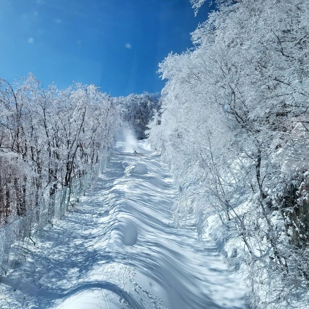 #발왕산설경 #용평설경 #용평리조트케이블카 #발왕산케이블카🚠 #용평리조트발왕산 #겨울왕국세상 #사진장인친구
#발왕산절경 #용평스키장🏂