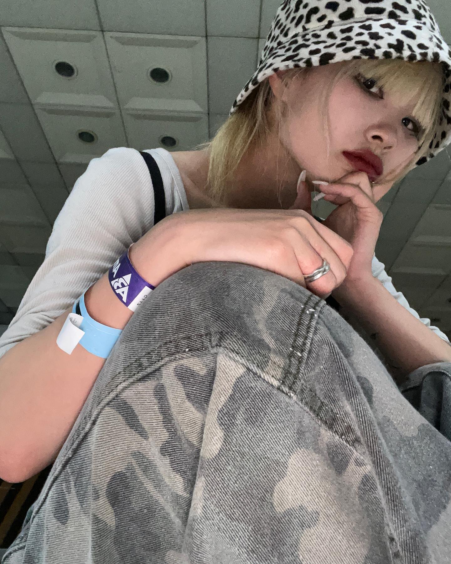 🐯