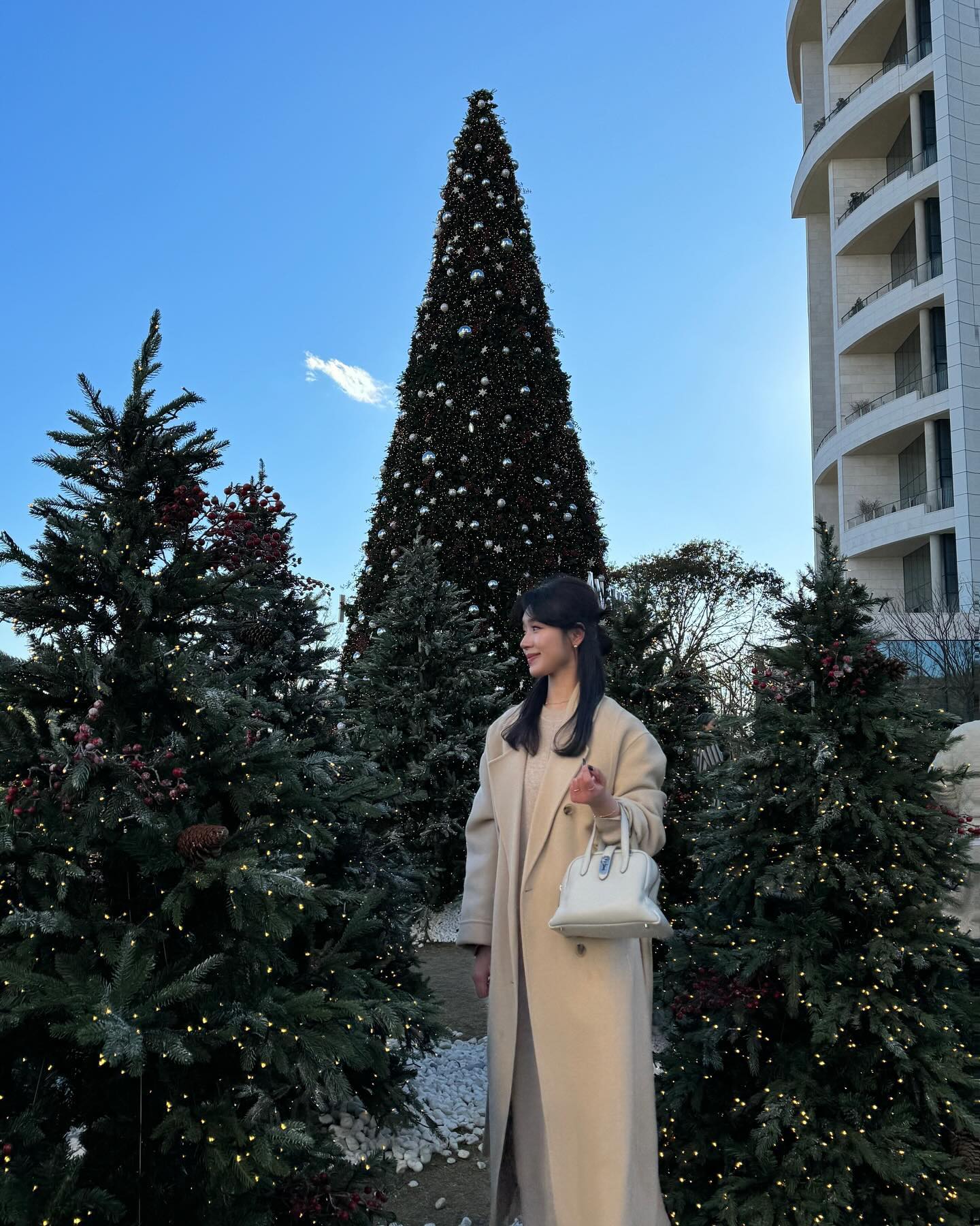 🎄트리 사냥🎄
