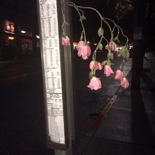 비 ….
