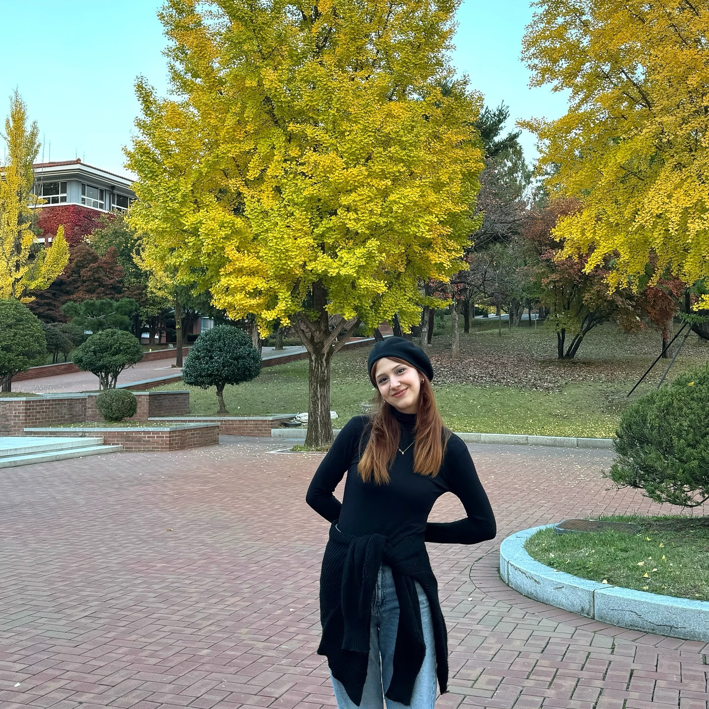 🍂🍁🍃
