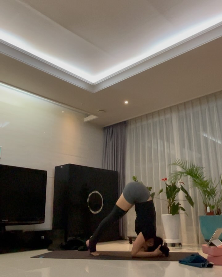 머리서기에서 이것저것 시도해봤어요!
역시 재밌어.. 🫶
다들 새해 복 많이 받으세요❤️😀✨