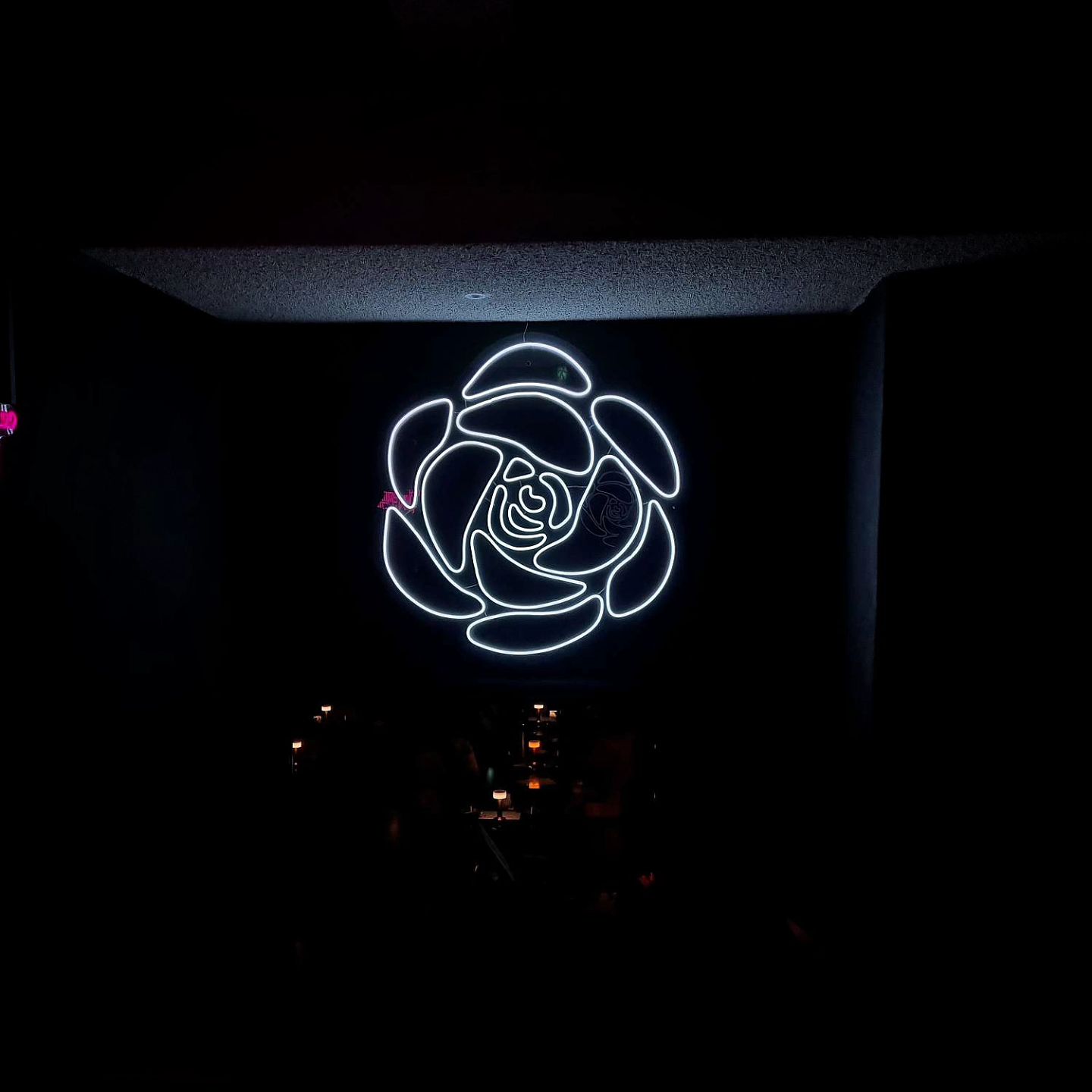 Neon-Sign🎆