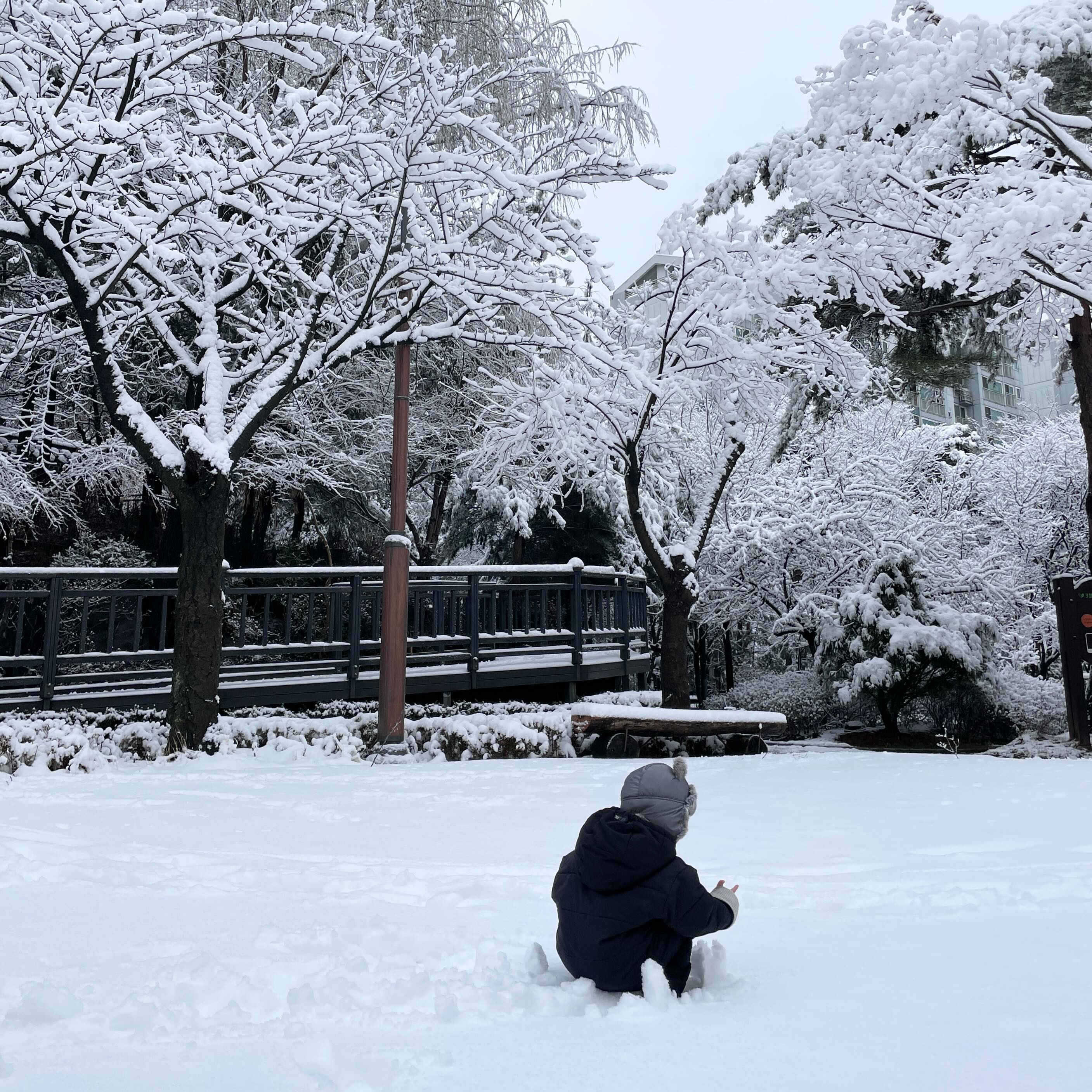 지금은 다 녹아버린 눈❄️❄️
.
.

#어린이집룩 #19개월아기 #19개월 #호랑이띠아기 #어린이집코디 #등원길 #남아 #남아코디 #남아룩 #남아패션 #남아옷 #등원샷 #어린이집등원길 #어린이집등원