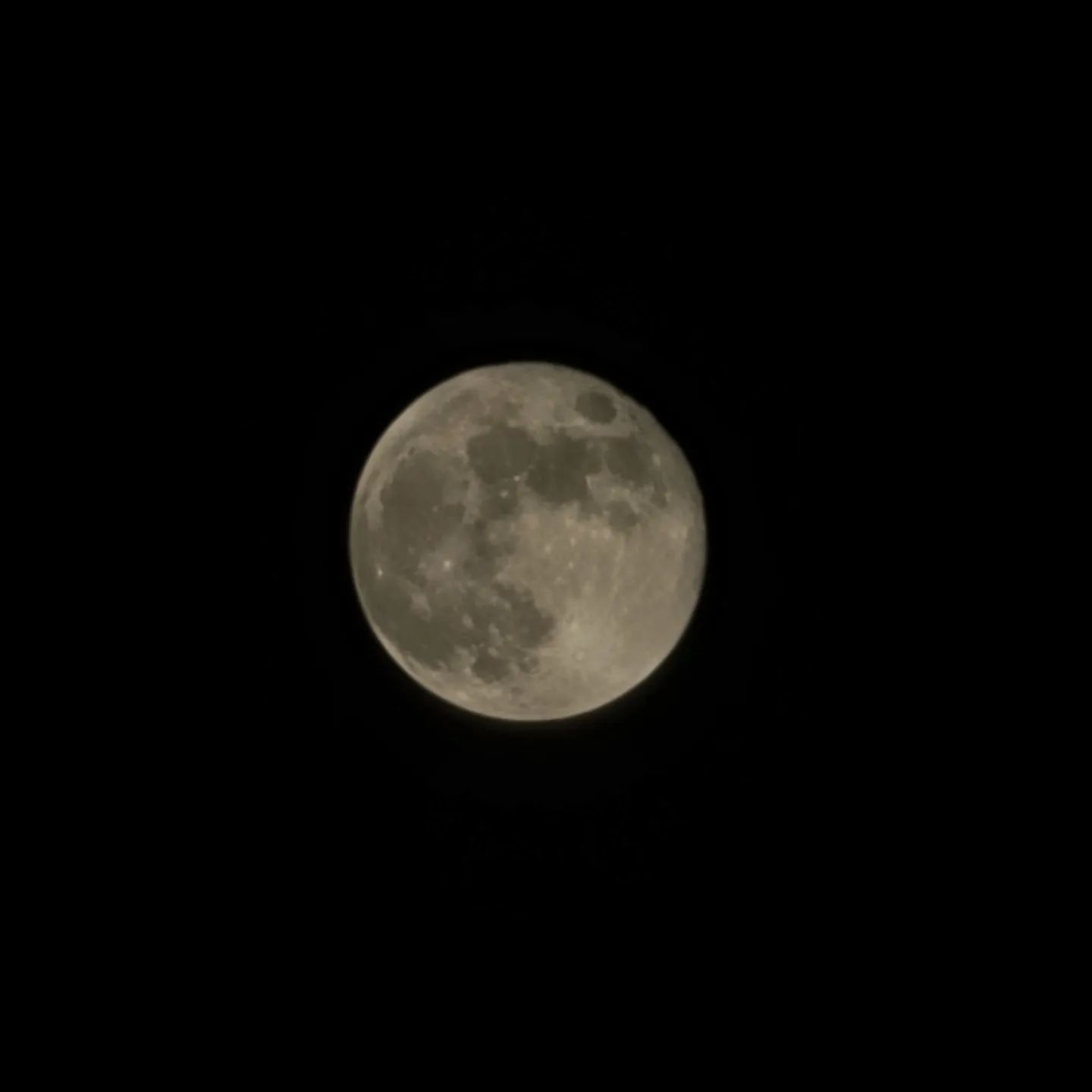 #밤산책 에 보이는 예쁜 #보름달
