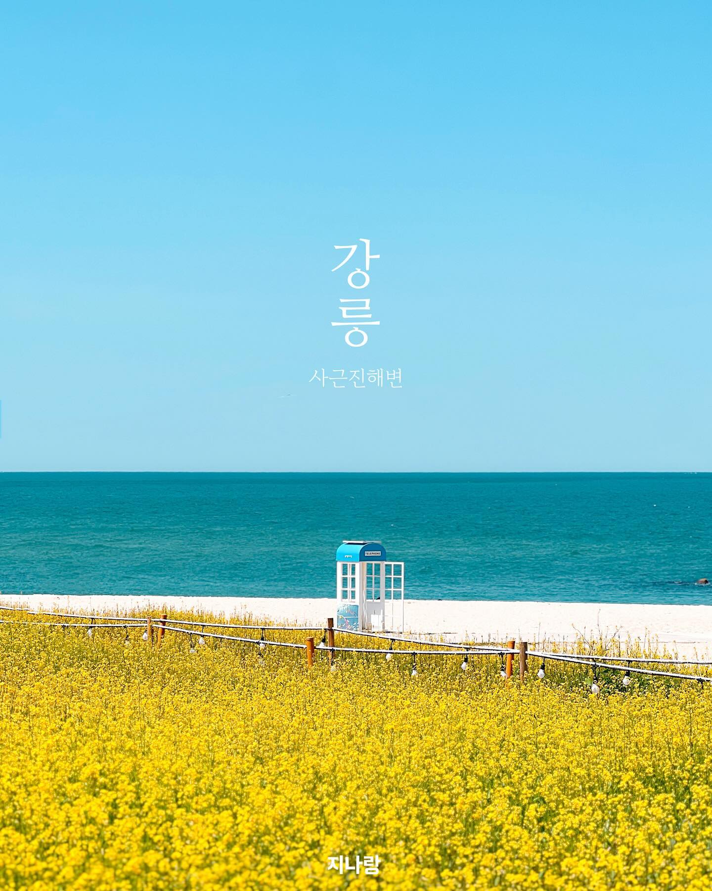 강릉의 봄엔 사근진해변 하세요🌼💛

해변가를 배경으로 노란 유채꽃이 펼쳐진 이곳은 강릉의 사근진 해변이예요. 

푸른 바다와 어우러진 유채꽃 뿐 아니라 무지개색의 방파제도 너무 유명한 곳이라, 강릉을 찾으시면 꼭 들르시길 추천하는 필수코스입니다🫶🏻

🌊 사근진해변
▪️ 봄에 만나는 해변가 유채꽃🌼
▪️ 포토존으로 너무 이쁜 해변의 공중전화박스
▪️ 무지개색의 테라포트와 전망대🌈

📍강원 강릉시 해안로604번길 16