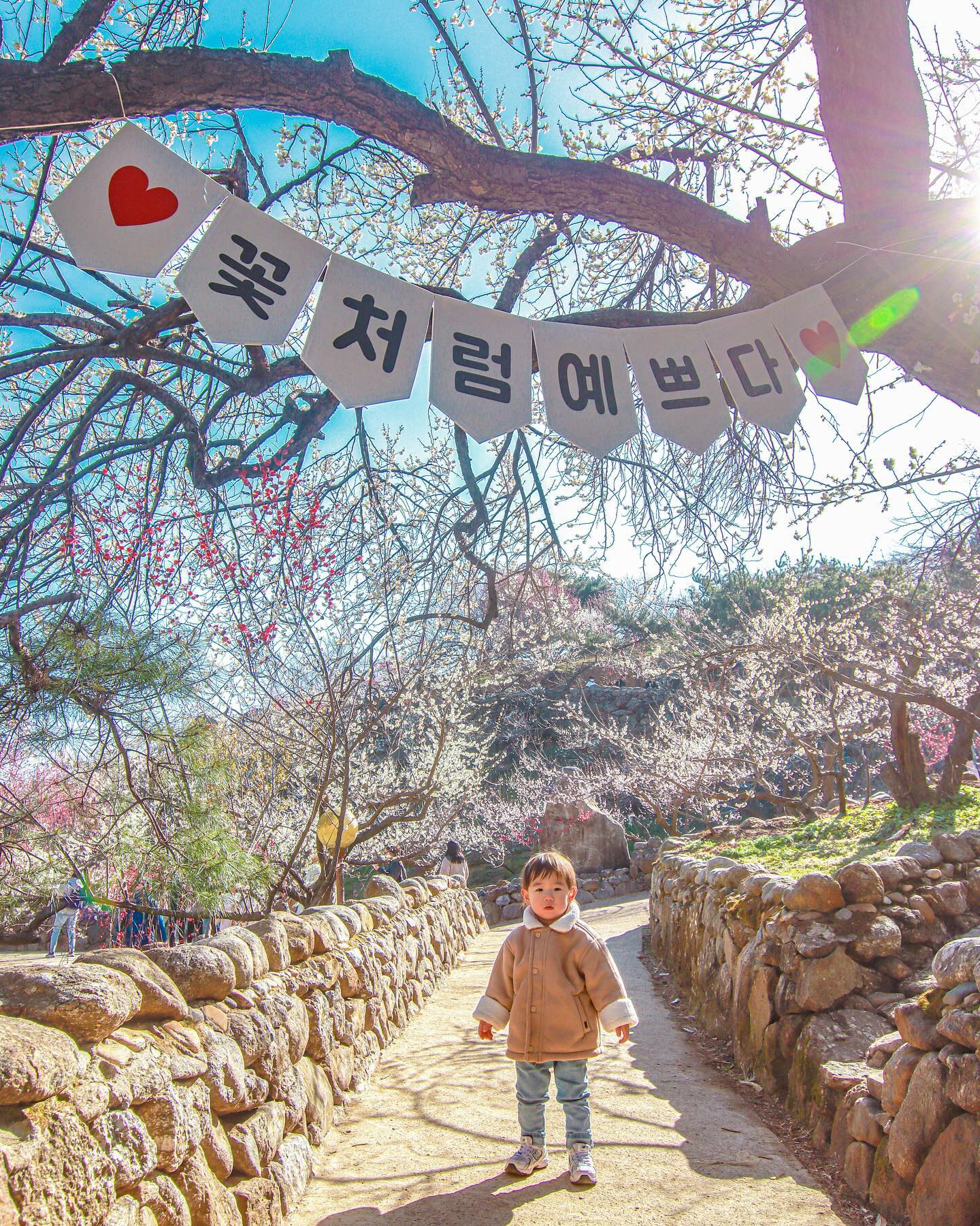 🌸 24.03.10 #광양매화축제 🌸