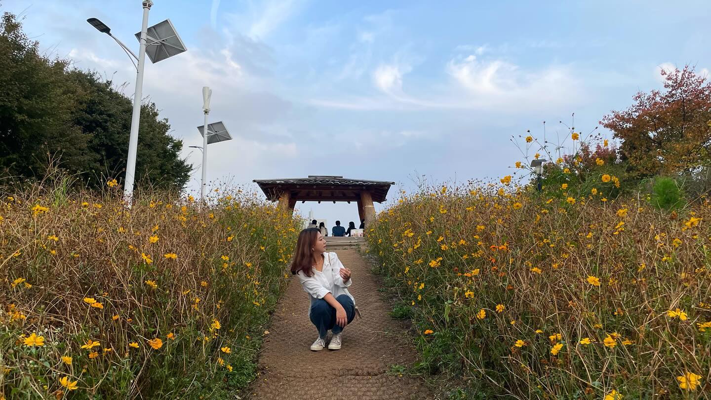 🚴‍♀️🌼🌸🍁🍂