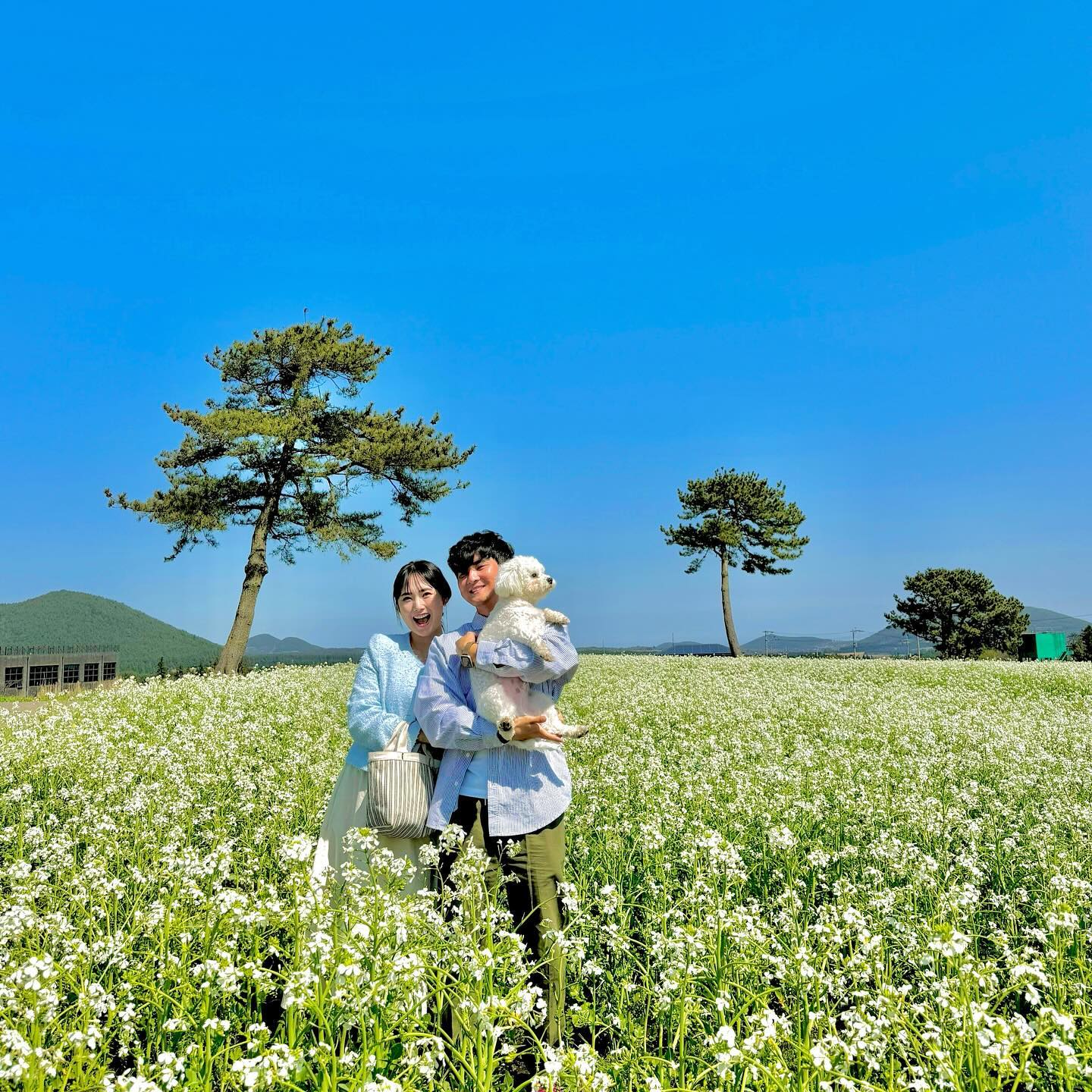 🌷

봄에 피는 꽃은 다 보고 왔긔 ~~ 🫶🏻✨

#신혼부부 #튤립샷 #제주부부 #개족사진 #주수기록 #28주