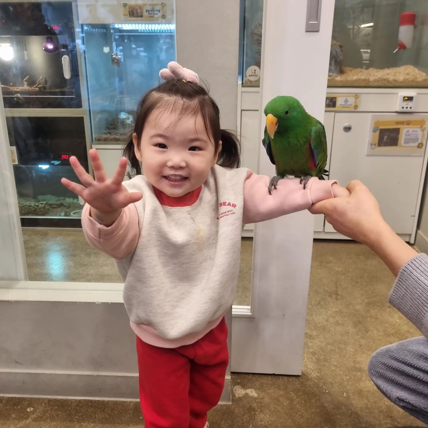 동물친구들이랑❤️