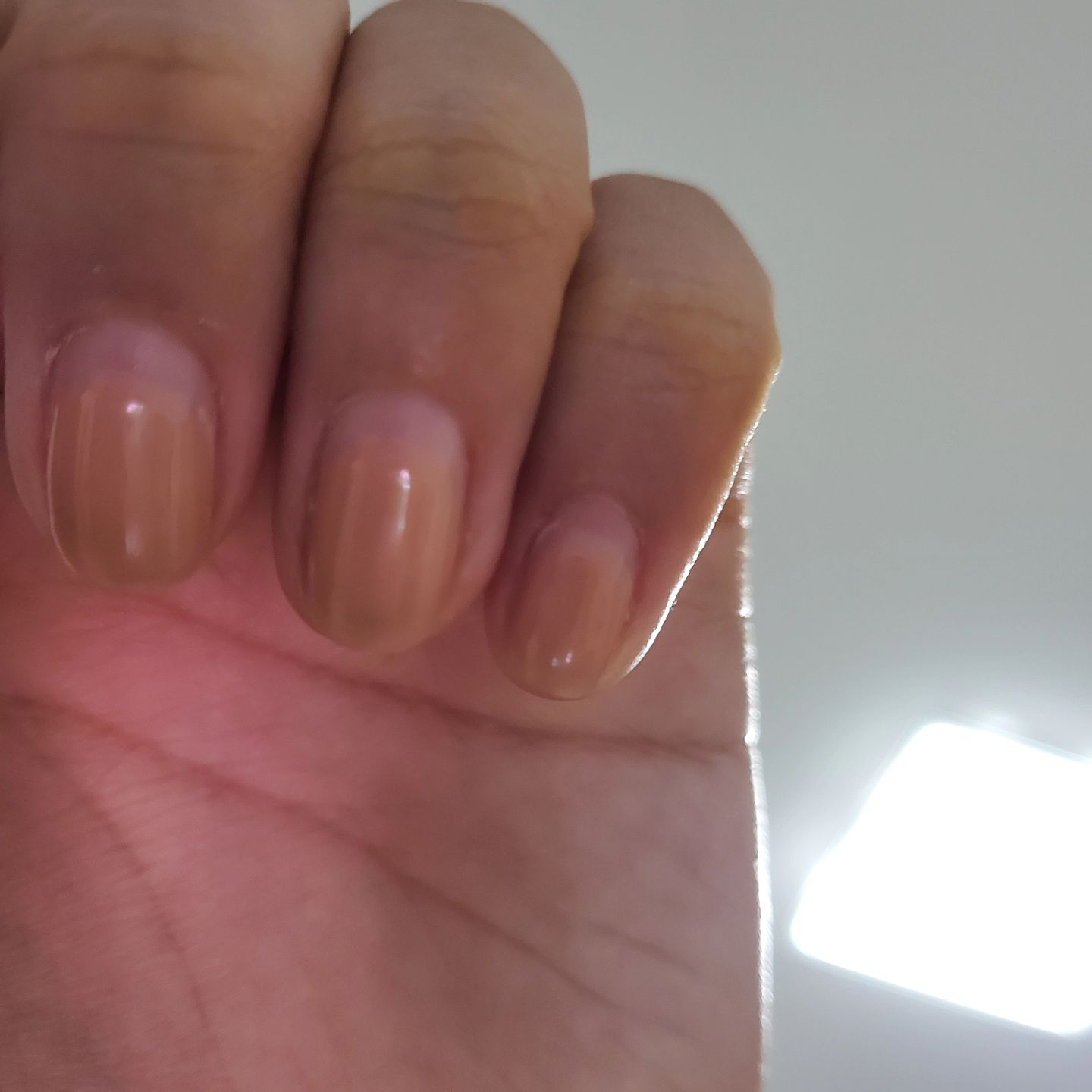 콘텐츠