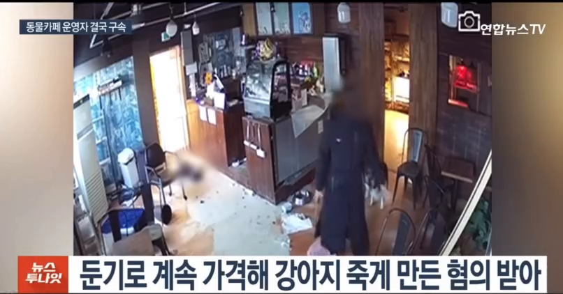 진짜 미치지않고서야..
2월에 구속되서 10개월 형 받고 올해 풀려난다네요..ㅋ

#동물학대 #동물학대강력처벌 #동물학대금지 #동물학대는범죄입니다 #동물학대법강화 #동물학대방지연합 #셀티 #강아지 #강아지는사랑입니다 #애견카페사장 #마포애견카페 #학대하지마세요 #이게법이냐 #솜방망이처벌 #판사님_판결이유_좀_알려주세요👨‍⚖️ #이게실형이라고? #ㅋㅋㅋ