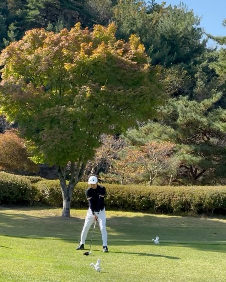 .
작년여름 골프2년차에 너무 힘들었던
고난이도 파인힐스cc 두번째도 역시나
골린이에게는 버겁지만 만족스러운샷
기억하며 열심히해 다시 돌아오께🖐🏻))
.
#서방님굿샷#서방님1등#나꼴등😭 
#3년차골린이의#역대어려운골프장
#파인힐스cc⛳#지렸다#평지샷
#꿈도못꿈#다리하나들고치는세컨샷
#이혼했던유틸소환#골린이멘붕😳 
#전라도골프음식#실패없음#쵝오
#식당알바팁까지#지갑열리는곳