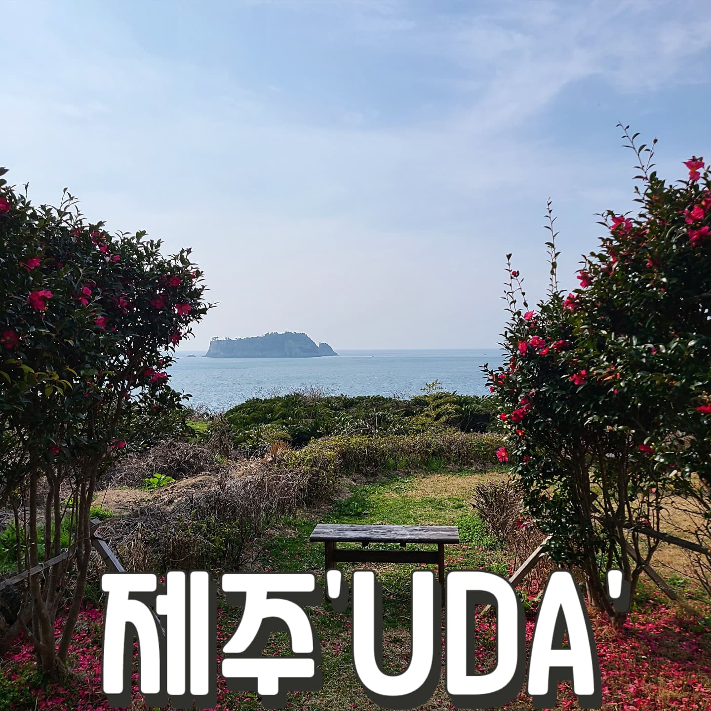#UDA카페 #서귀포카페

제주도에서 바다뷰가
제일 아름다운 브런치 카페

대충 놓고 찍어도 인생샷
범섬과 바다뷰 너무 멋진 곳

브런치와 음료도 수준급!

#콥샐러드우다 21.0
#아메리카노 7.0