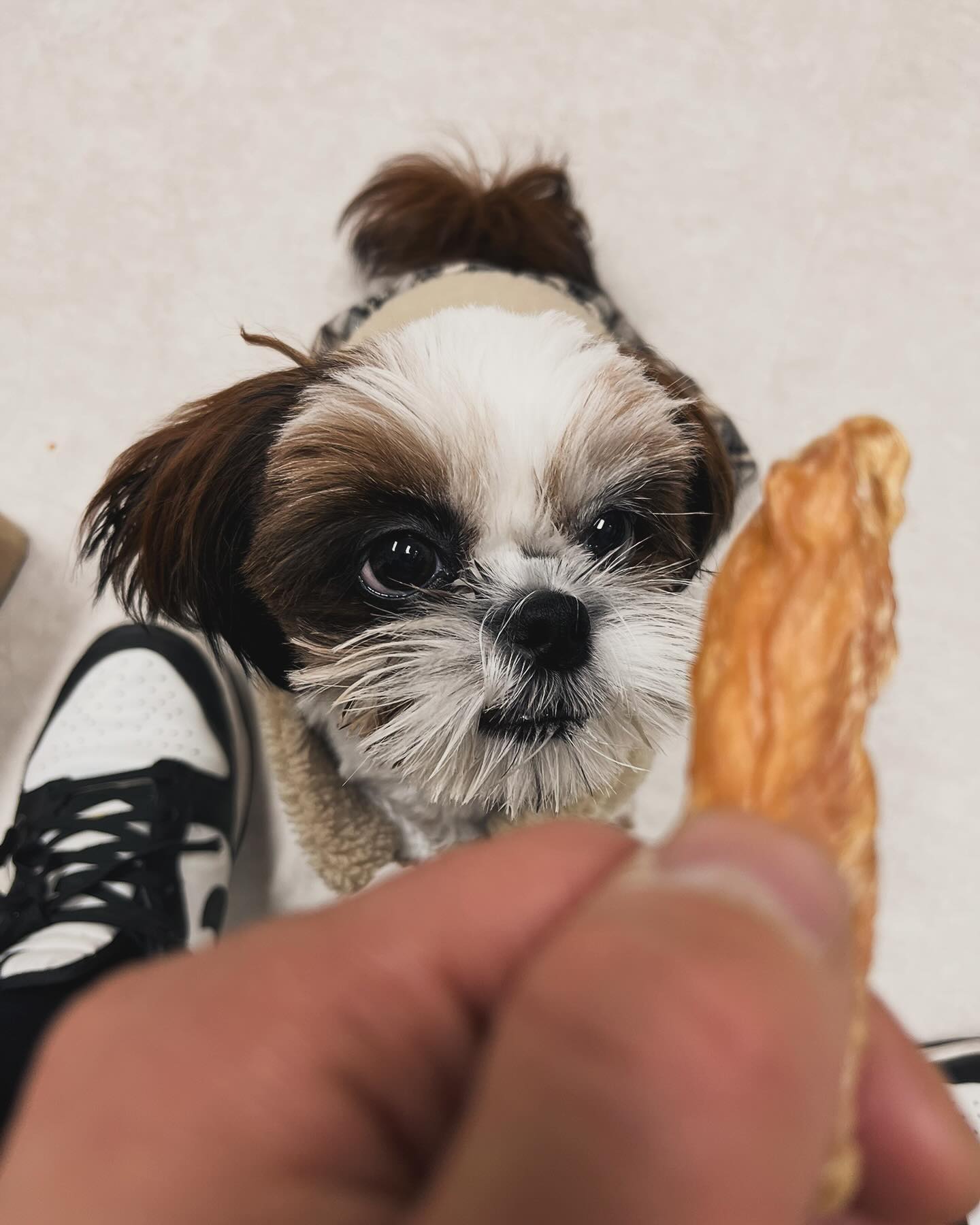 콘텐츠