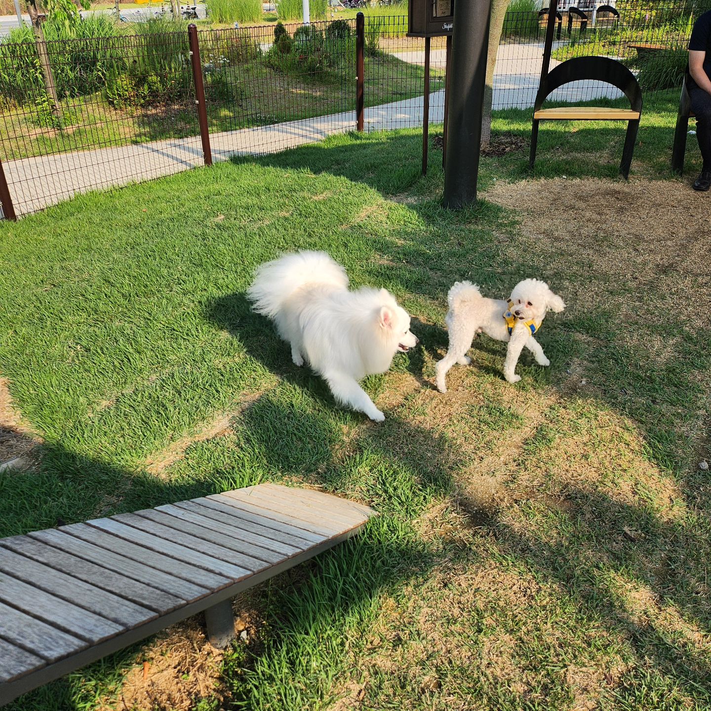 #해삐 #로건 #스타필드안성 #더울땐 #실내지! #재미있게놀고 #개꿀잠