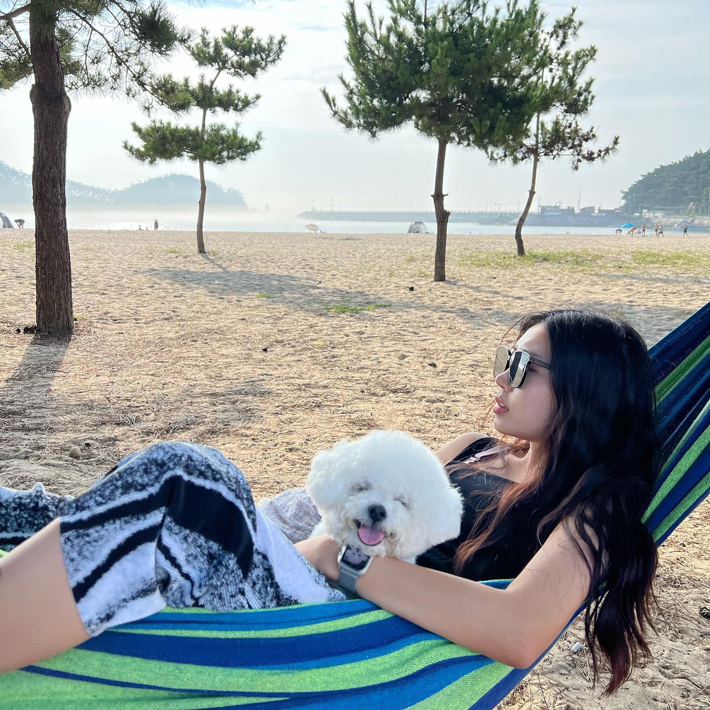 나 태안 좋아하네.
두부도 (막컷젭발봐줘)