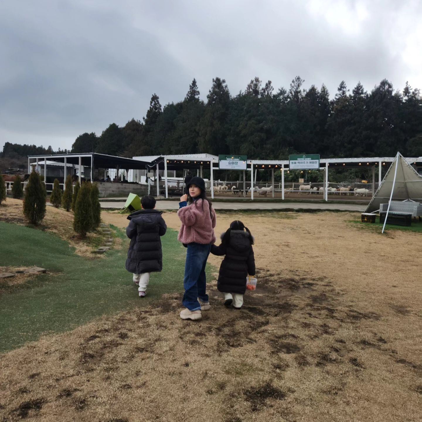 🏝 제주여행 첫날
카트체험 동물먹이체험 
올레야시장 투어 숙소 
뮛도모르게 빠르게 지난간 하루🥲

운전을 매일해서 그런가 나는 카트체험은 그닥;; 아이들도 처음에만
재밌다고 하고 오로지 동물 먹이주기가 제일 재밌다는 둘찌😅
그래 아직은 동물이 좋을 나이다 
.
.
.
#여행사진 #여행스타그램 #여행 
#가족여행 #카페드르쿰다 #올레시장 #올레야시장 
#아이들과여행 #아이와여행
#제주도 #제주 #제주여행