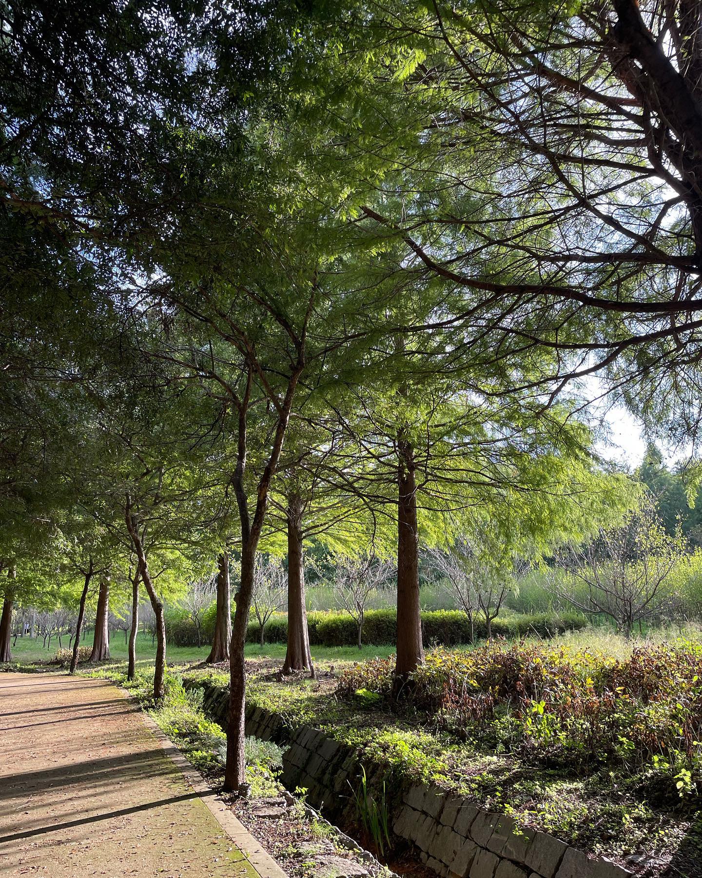 10월의 추억 🍃