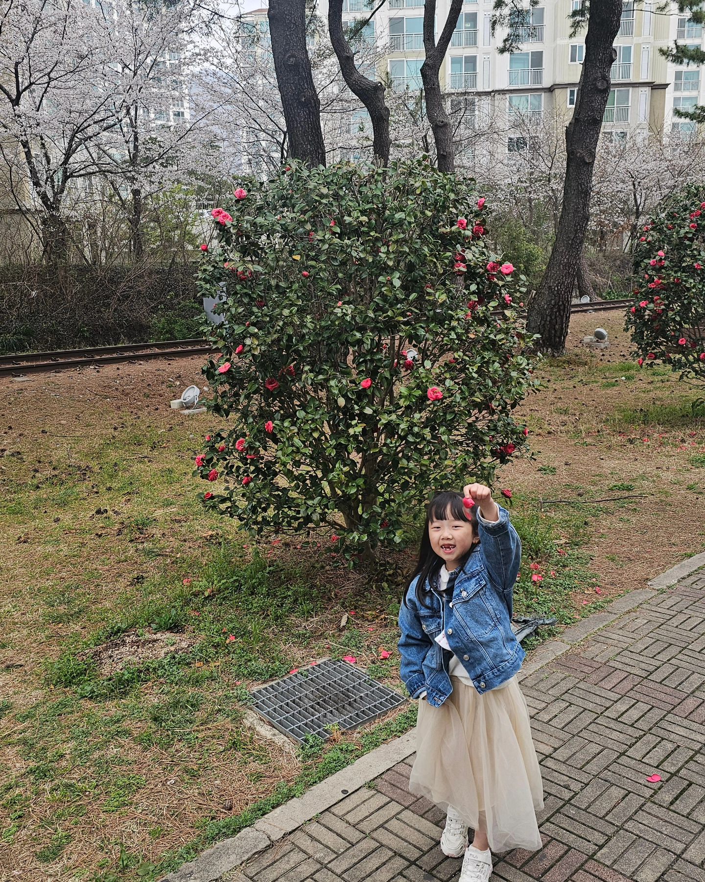 #20240330 #진해군항제 #흐린날벚꽃 #밀린피드 #오늘아님주의

이 정도면 비를 몰고 다니는 거 아닐까 싶다..^^ 그래도 비 오기 전 후딱 둘러보기 대성공. 
연애시절 와봤던 군항제인데, 뭉클한 이 기분.
둘에서 넷이 되어 오다니👉👈 너무 행복하고 설레었다.

조금 더 밝은 날이었다면 더 만개한 벚꽃을 봤겠지만 그래도 만족.
역시나 꽃은 늘 옳다❤️

#벚꽃명소 #벚꽃스타그램 #벚꽃축제 #벚꽃놀이 #가족스타그램 #가족여행 #린자매그램 #린자매여행 #럽스타그램