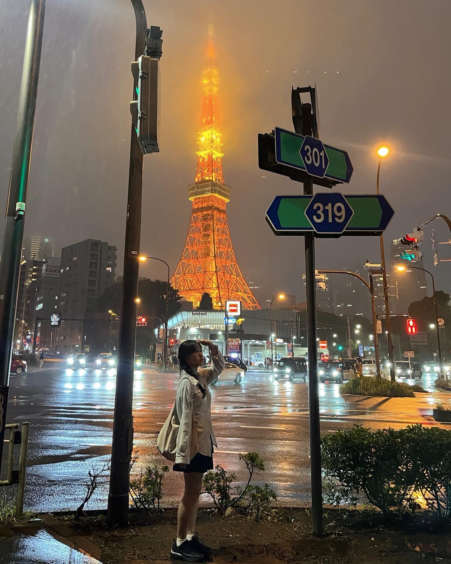 비도 오고 안개가 껴도 도쿄의 밤은 아름답다🗼🚦

#도쿄 #도쿄타워 #tokyo