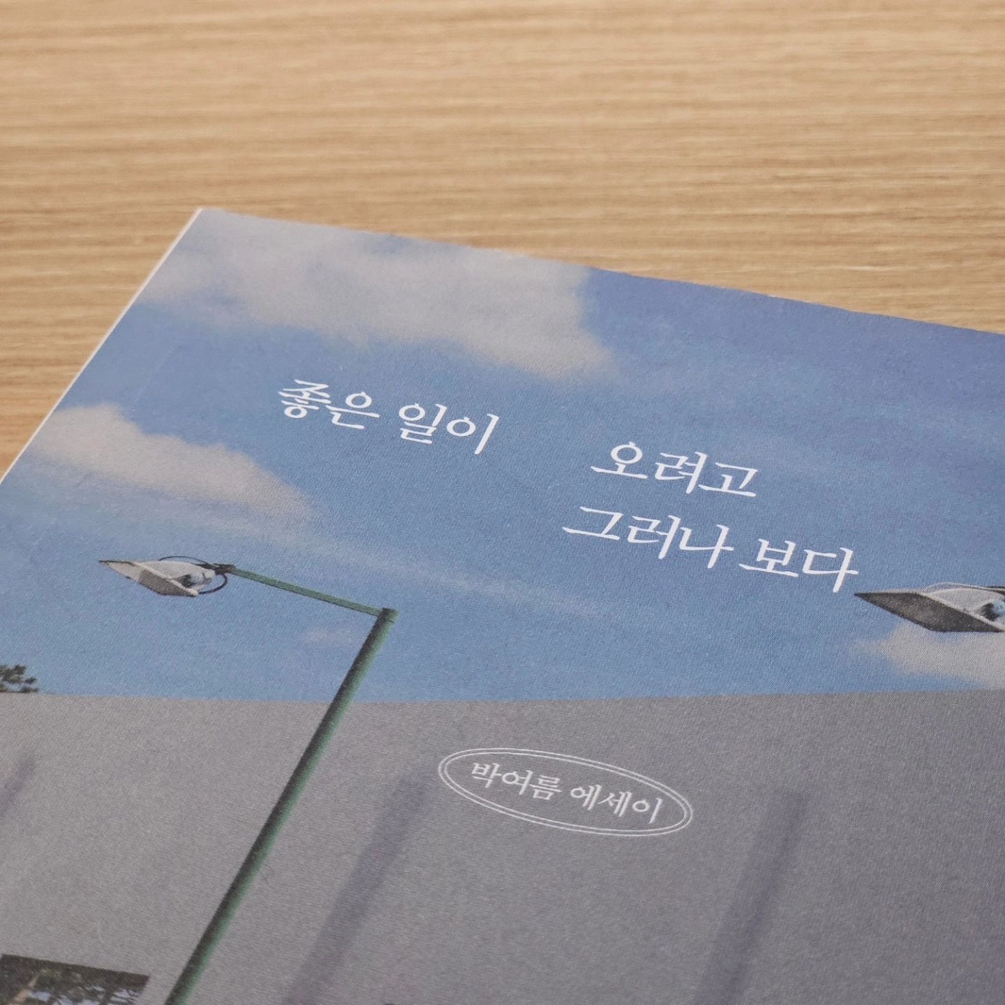 오늘의 밤샘 메이트📚

친구 기다리는 동안
추위를 피해 들어갔던 서점에서
잠깐이라도 뭘 읽을까 고민하다
제목에 이끌려 고른 책

도착했다는 말에
몇 장 읽은 책을 내려놨다가
아무래도 안되겠어서 데려왔다🙄

얼른 읽어야지

#좋은일이오려고그러나보다 #박여름에세이