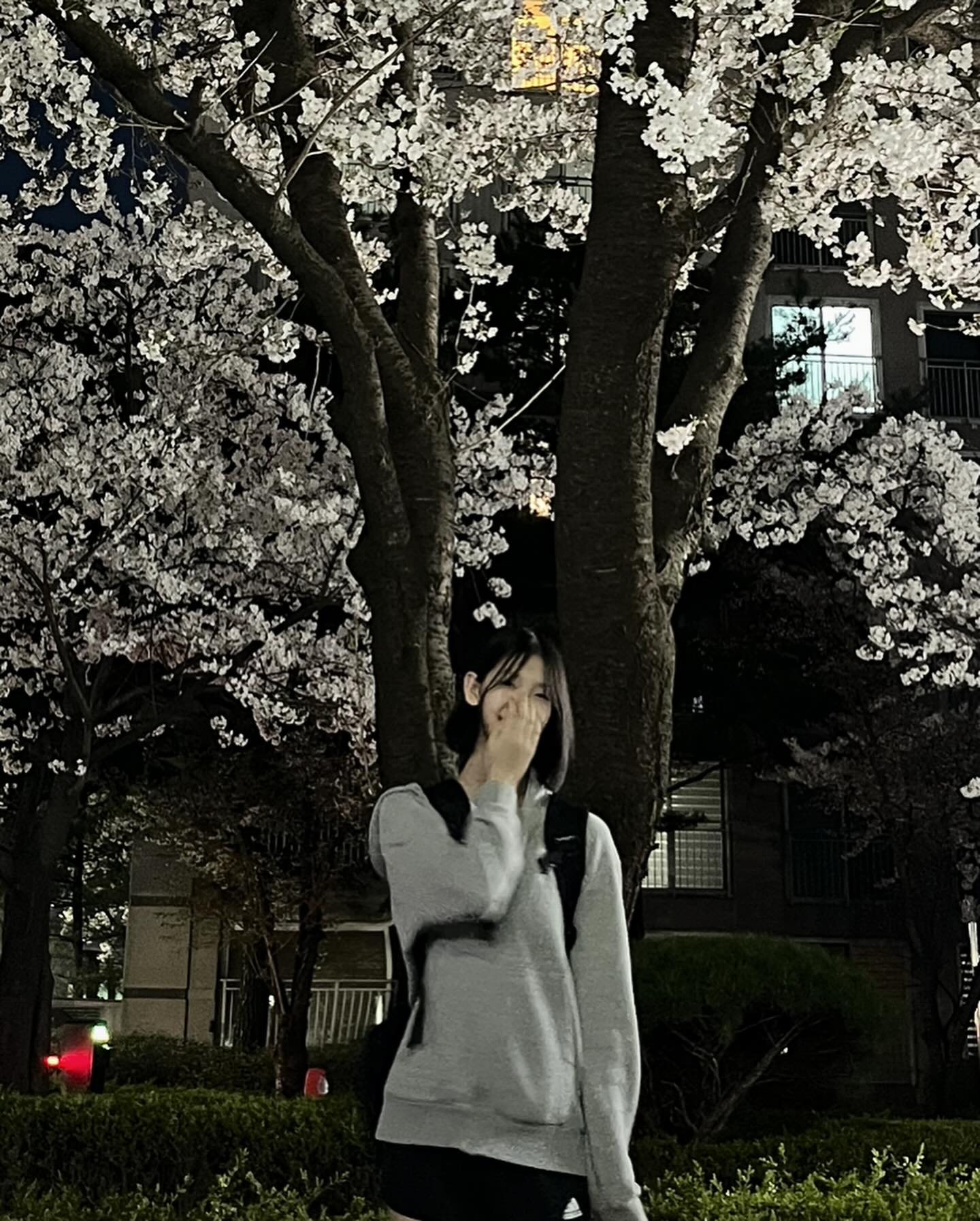 🌸