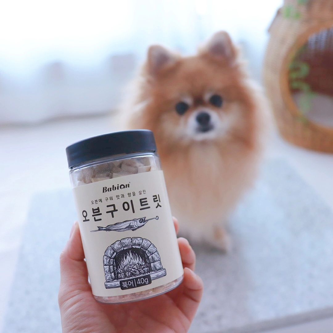 #협찬 #강아지간식 #고양이간식

오븐에 구워 맛과 향을 살려 더 맛있는 동결건조 간식 [바비온] 오븐구이 트릿♡

북어맛이라 더 좋아하는 울 뽀시래기들~

맛있게 냠냠😋 잘도 받아 먹어요^^

반려견과 반려묘의 건강을 위해 첨가물과 방부제없이 만들어 안심하고 급여할 수 있어 더 좋은거 있죠~

기호성은 물론 단백질 함량까지 높은 프리미엄 간식이라 완젼 추천드려요♡

#동결건조간식 #트릿 #바비온 #기호성높은영양간식 #반려견간식추천 #맛있는영양간식