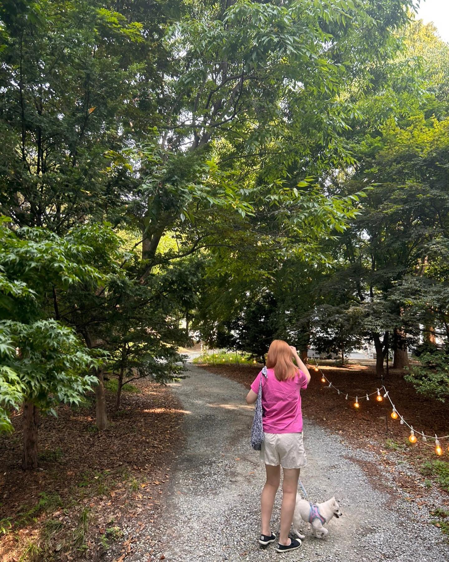 #여름🌿🌿🌿 🌸🌺 #오늘우리는 #자연사진 #강아지🐶