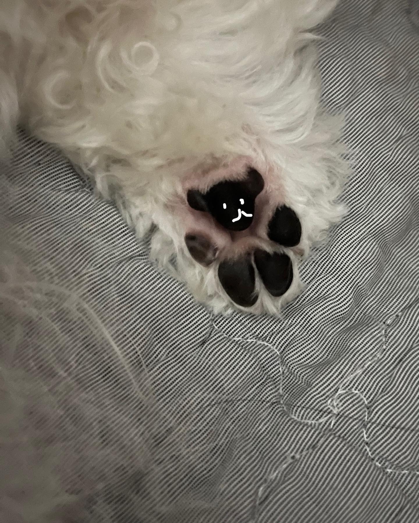 머 내가 곰돌이라고?
🐻