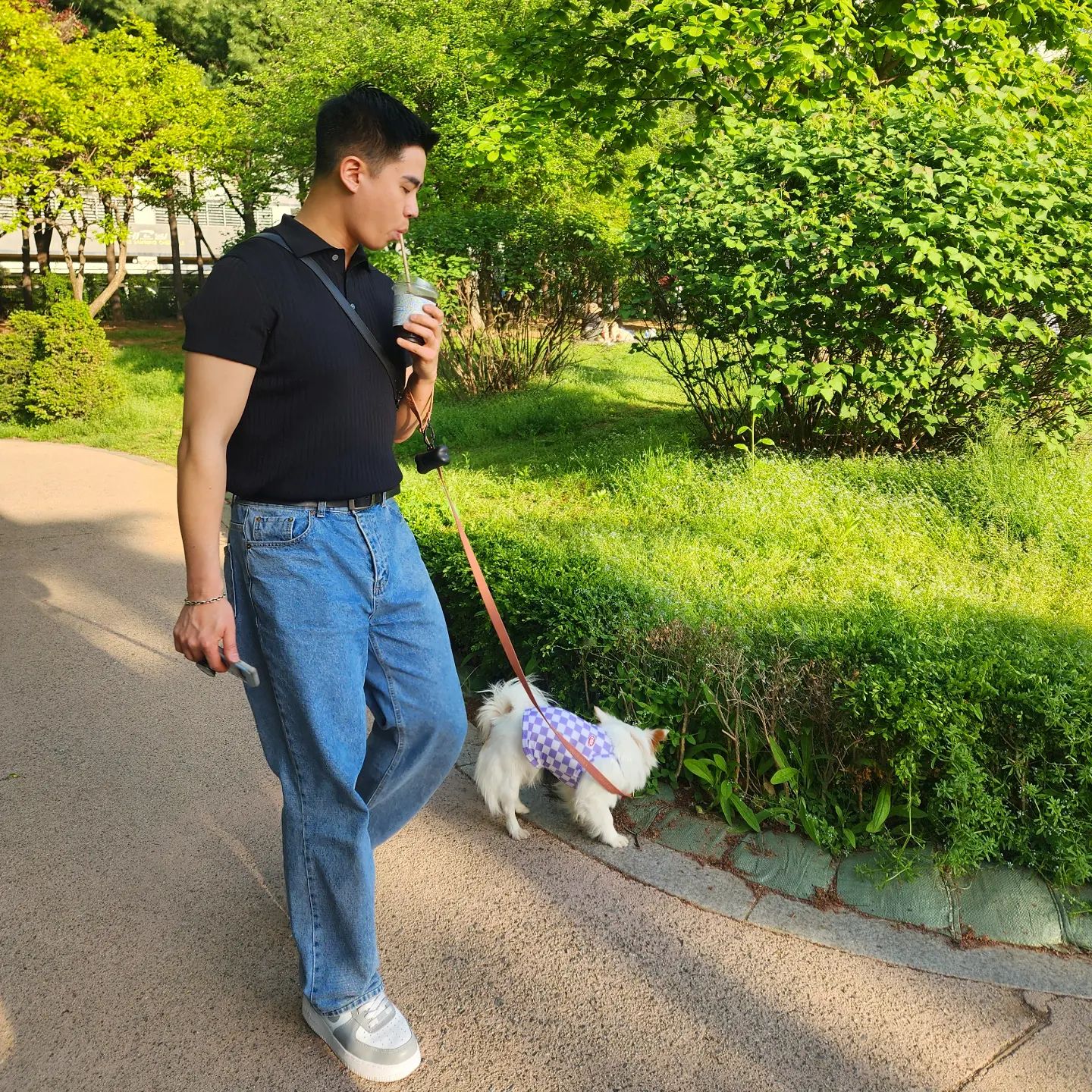 처음 보는 밤바 산책
너무 귀여웡!

#보라매공원 #보라매공원산책