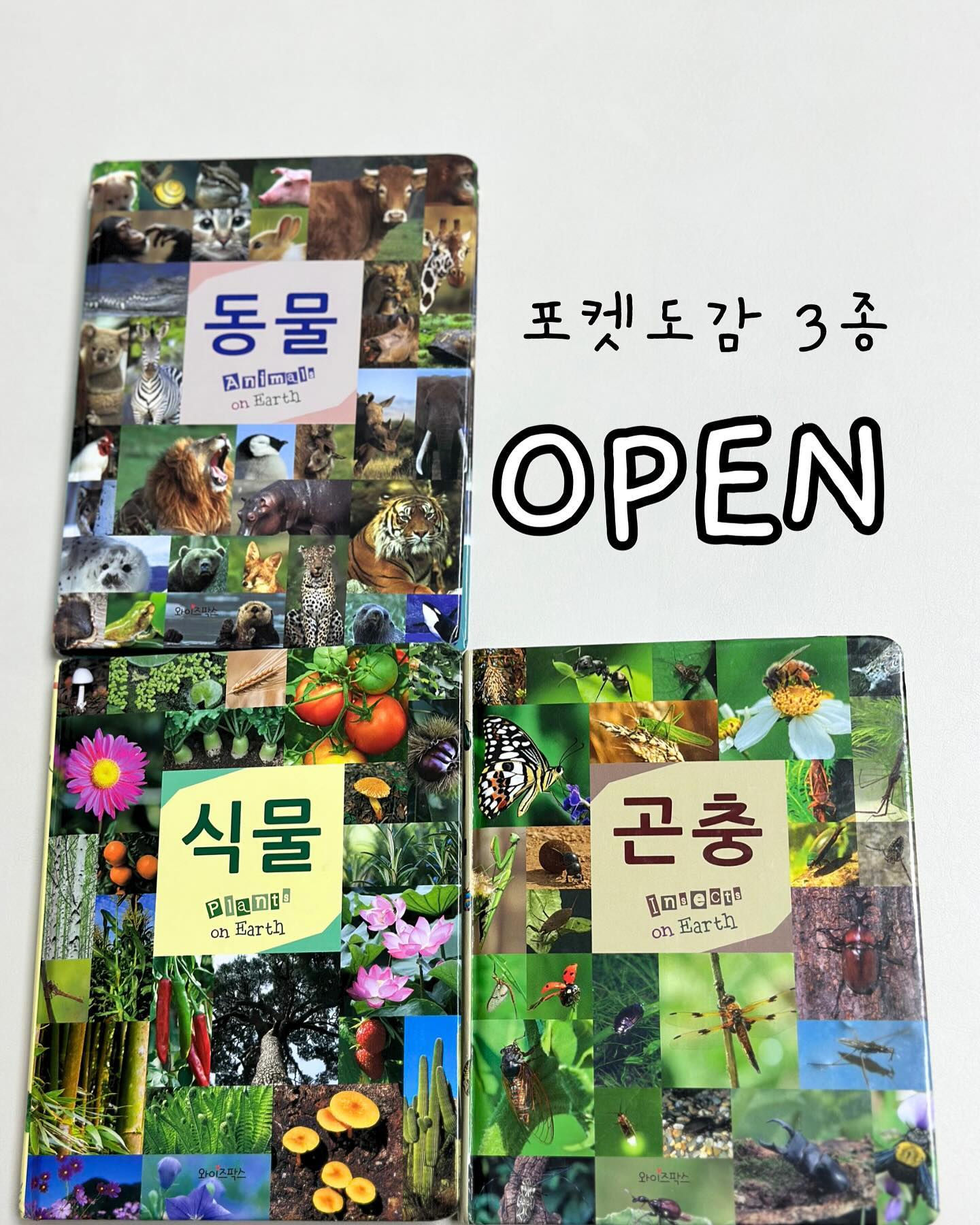 🎊연두비 포켓도감 공구 OPEN!!!🎊

많은 분들이 여쭤봐주신 연두비 포켓도감이예요!
연두비 포켓도감은 사실감 넘치는 네셔널지오그래픽 사진으로 뚜호가 너무 좋아해요!! 특히 곤충사진은 👍👍(뚜호맘은 살짝 힘듬돠ㅠ)
휴대하기 편해서 외출할 때 자주 가지고 나오는 편인데 카시트에 앉아서 혼자 잘 보더라구요^^
책 넘기면서 아는거 나오면 단어 얘기하면서 보는데 너무 귀여워요!ㅎㅎ
총 3권에 13900원! 1개당은 4천원대이니 가성비 👍

✅실사로 보는 포켓도감!
▣자연에 대한 이해력을 높여줘요!
▣영유아 눈높에 꼭 맞는 책!
▣내셔널 지오그래픽의 실사로 생생함 UP!
▣간편한 휴대성! (130x162mm)
▣총 286종 수록! (동물-168쪽 / 식물-168쪽 / 곤충-144쪽)

📌구매시 참고사항
▣미세스크래치 / 실밥노출 / 책 무게의 의한 밀림 or 눌림 자국 / 양장본 제본 들뜸 / 콩기름잉크에 엔한 내지 뒷묻음 현상은 교환, 반품이 안되요.

📌상품구성
▣포켓도감 3권 - 동물 / 식물 / 곤충

📌공구일정
▣11월 21일 ~ 11월 23일

📌배송 (롯데택배)
▣택배비 - 무료배송
▣제주, 도서지역 배송비 추가

📍구매 및 상세정보는 프로필에서 가능합니다😁

💛구매완료 이벤트💛
구매하신 후 피드에 댓글로 ’구매완료/성함‘ 남겨주세요.

✔️구매완료 이벤트 1분께 스타벅스 커피쿠폰 보내드릴께요☕️

✔️이벤트 마감
구매완료 이벤트 - 11월 23일까지

➿당첨자 발표는 11월 24일 금요일에 스토리에 발표할께요

❤️❤️많은 참여부탁드려용❤️❤️
#이유식 #초기이유식 #중기이유식 #후기이유식 #완료기이유식 #이유식기록 #이유식그램 #토핑이유식 #자기주도이유식 #무염유아식 #저염유아식 #간편유아식 #유아식반찬 #돌아기반찬 #공동구매 #공구진행 #공구오픈 #공구오픈예정 #연두비 #연두비공구 #아기책 #아기책공구 #포켓도감