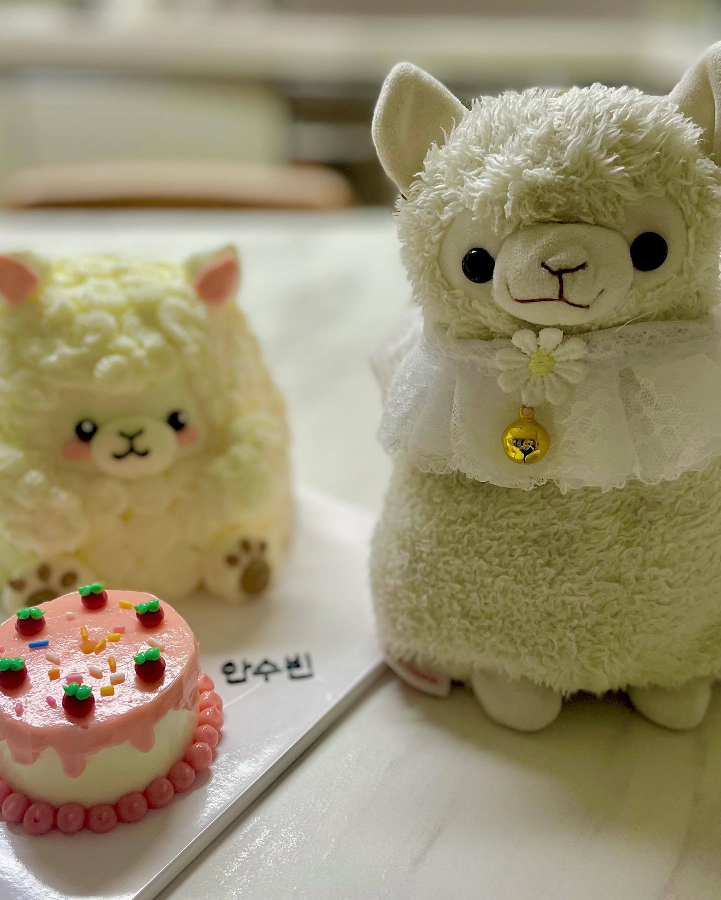 이 정도면 자랑해도 합법이다!! 고마워요
Alpaca b-day cake🦙🎂 from snu_september🌙🌕
Special thanks to Design by timeis._.me lee.h.h157 

21살, 22살, 23살에 받은 연어 케이크 3개 합친 것보다 
25살에 받은 알파카 케이크 1개가 더 감동적이네요٩( ᐛ )و

케이크 해준 동기 언니들이랑 데카 선생님들도 감사..🥰
바쁜 와중에도 잊지 않고 축하해준 모든 분들 감사..🙏🫶

우당탕탕 좌충우돌 라이프지만 덕분에 아직까진 제법 행복하네요!
#happybirthday #tome #happy #birthday #alpaca ʕ·ᴥ·ʔ