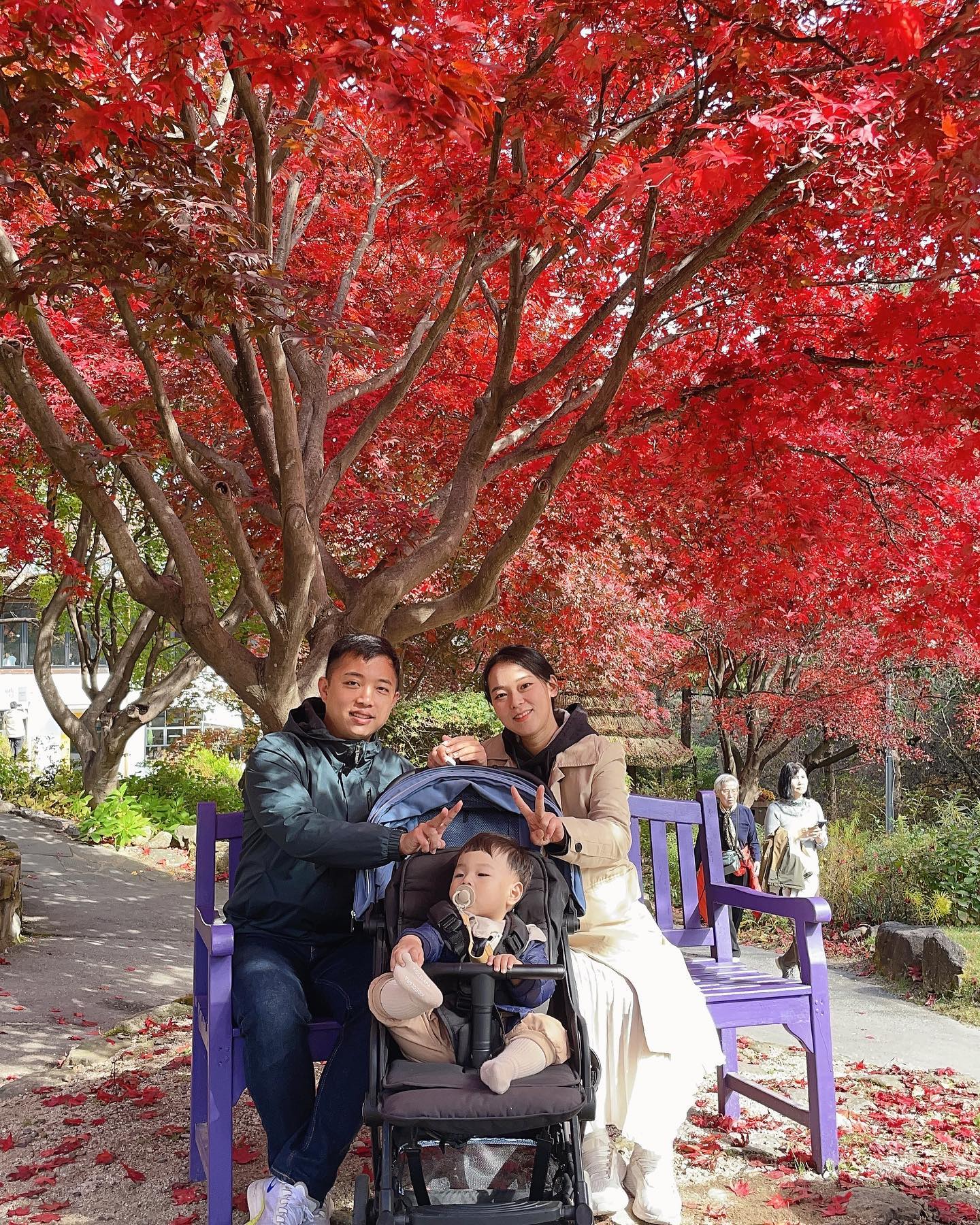 D+432
가을 가평여행🍁
단풍이 너무 이뻤던 아침고요수목원과 호명호수
제일 재밌었던 가족자전거타기
아들 너무 얌전히 앉아있는거 아뉘니😄
⠀
#막바지가을 #아침고요수목원#호명호수자전거#가족자전거타기
