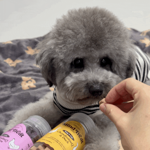 핀서 마음트릿 강아지동결건조 간식