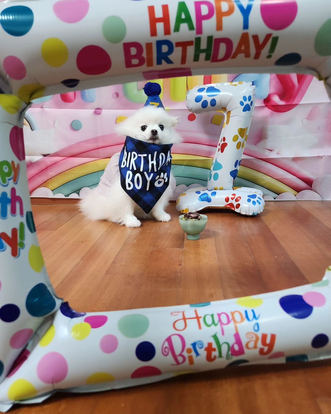 축🎉 배추 7️⃣생일🎂
내손으로 받았던게 엊그제 같은데 벌써7살이라니🥹
올해는 내가 정체기라 부랴부랴 홈파티로 준비😵‍💫

열심히 풍선불고
(비닐풍선은 절대 입으로 불지 마세요.저도 알고 싶지 않았습니다......)
황태미역죽에 배추가 제일 좋아하는 송한우소고기 굽고
사이즈미스로 커다란 스카프 하고..ㅋㅋ
후다닥 사진찍고(송이&상추 는 먹을거보느라 앞을안봄)
배터지게 먹고, 요즘 내가 꽂힌 팜하늬 놀이하다가 
지쳐쓰러지심😁
잠깐쉬고  팜배추하러 나갔다가 파업하셔서 집으로~~
배추 생일선물로 하루종일 귀찮은 상추 내일 종일 내가 책임질게~! 송이랑배추랑 집에서 푹쉬렴🥰

늘 똑같은 잔소리지만 아프지말고 건강만하자💓
우리집에서 제일 사고도 안치고, 귀찮게 내가 팜하니하자고 해도 착하게 잘맞춰주는 멋진형아🤍
올해도 극진히 모시겠습니다💪

#생일축하해❤️