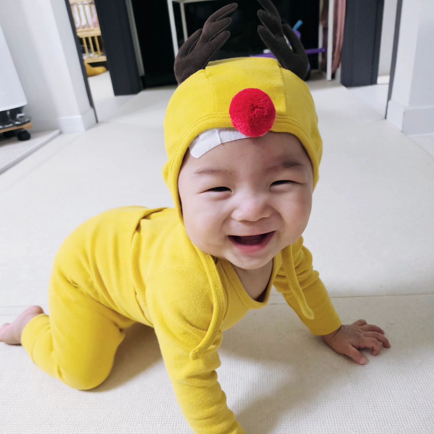 이마깨진 루돌푸