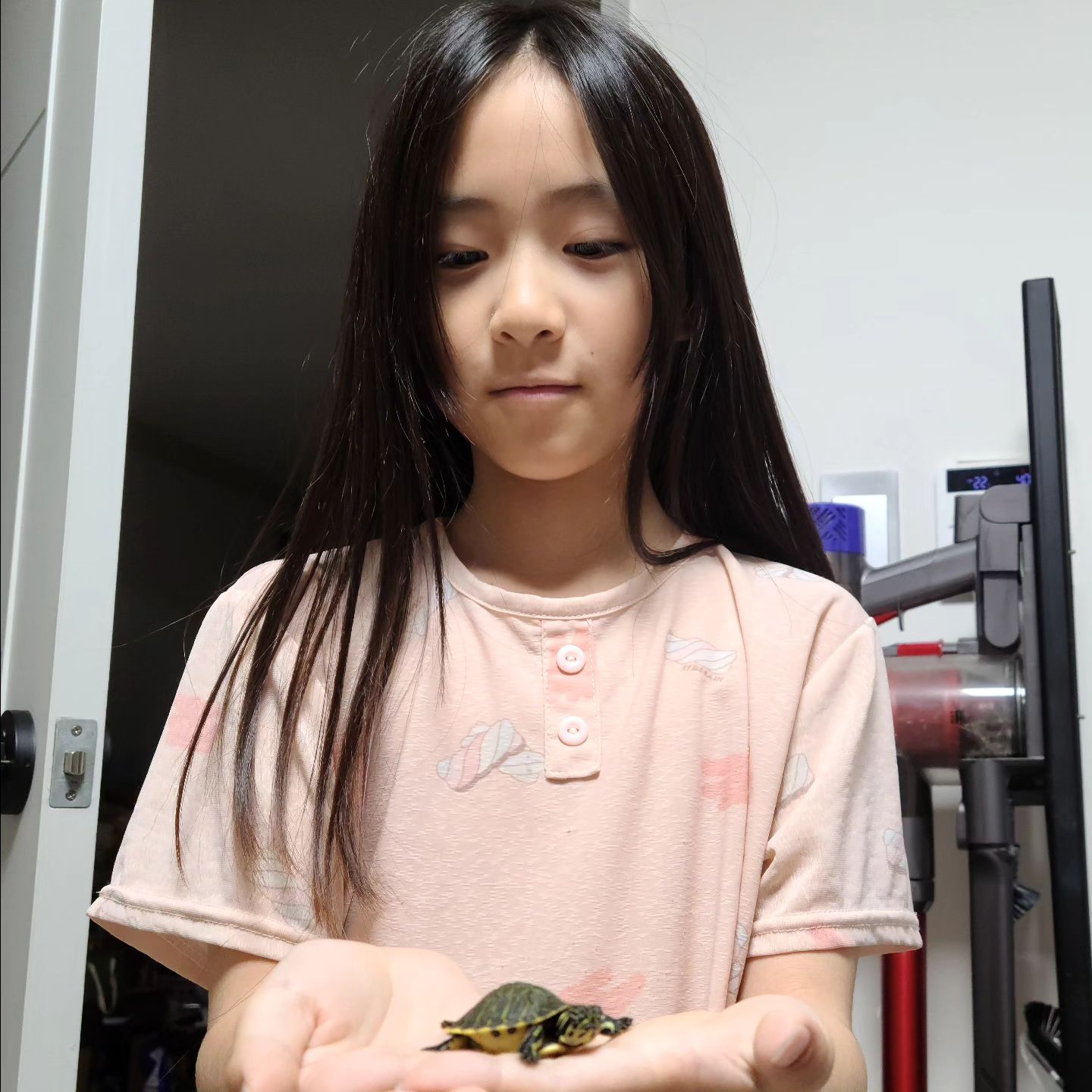 #거북이

이번에 데려온 거북이 🐢 
눈에 하트뿅뿅 딸램❤️

#오감이 #엉금엉금 #귀여워 #공주