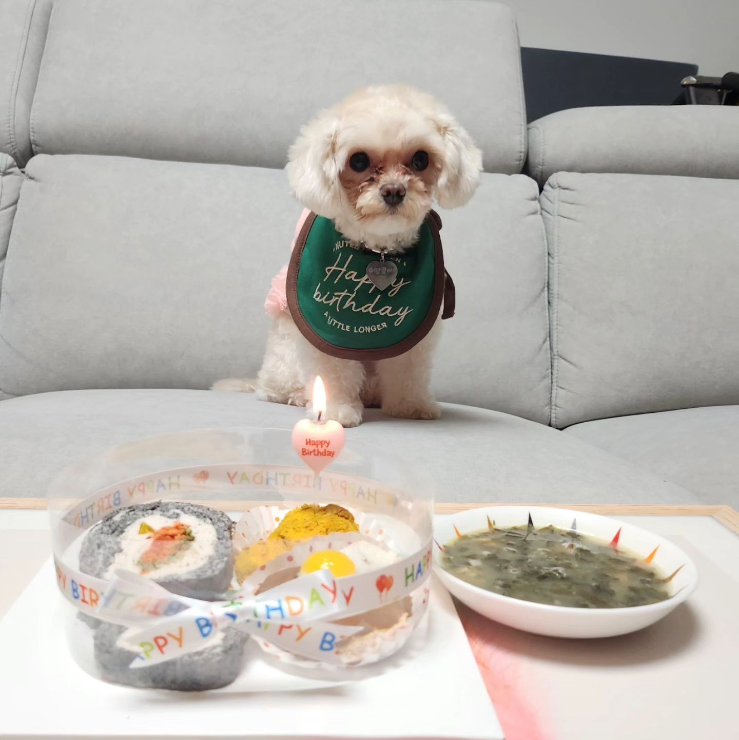 #땅콩생일 #220117 #말티푸 #말티푸땅콩이 #우리집막내 #반려견생일상
.
우리 땅콩이 두번째 생일~
우리집에 귀여운 막내로 오려고 태어났징~~
오래오래 함께하자꾸나♥️
집근처에 수제애견간식 매장이 있어서 급조한 생일케이크와
이쁜 사장님이 서비스로 주신 미역국까지..
땅콩이가 잘 먹어서 좋음👍👍
.
.
.
#개팔자상팔자 #나도개띤데 #상팔자되고싶다 #부러운땅콩이