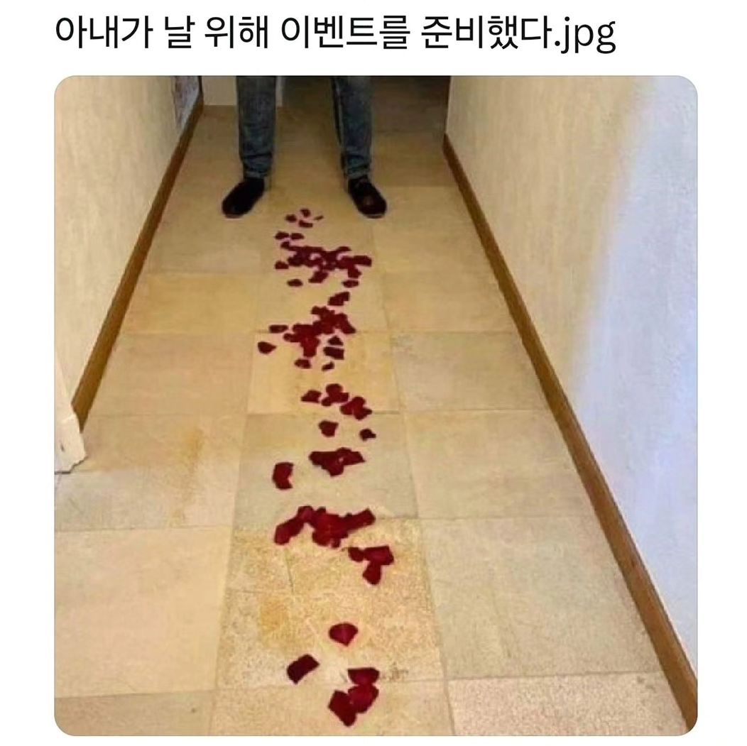 #짜잔
.
명절 끝나고
몸살난 사람
#바로나야나🙋🏻‍♀️
.
#이벤트
#깜짝선물
#서프라이즈