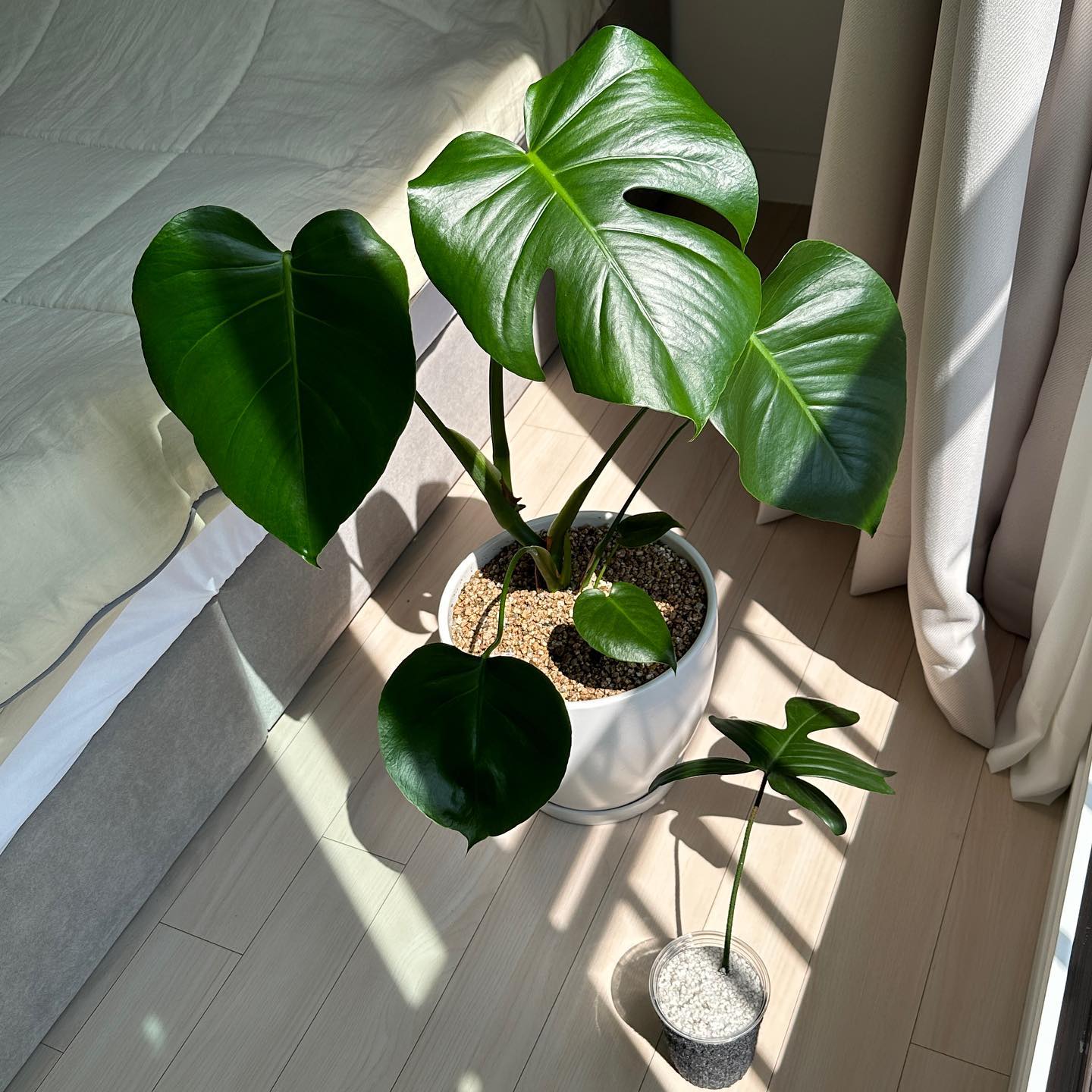 봄 햇빛이 너무 좋다..🌱