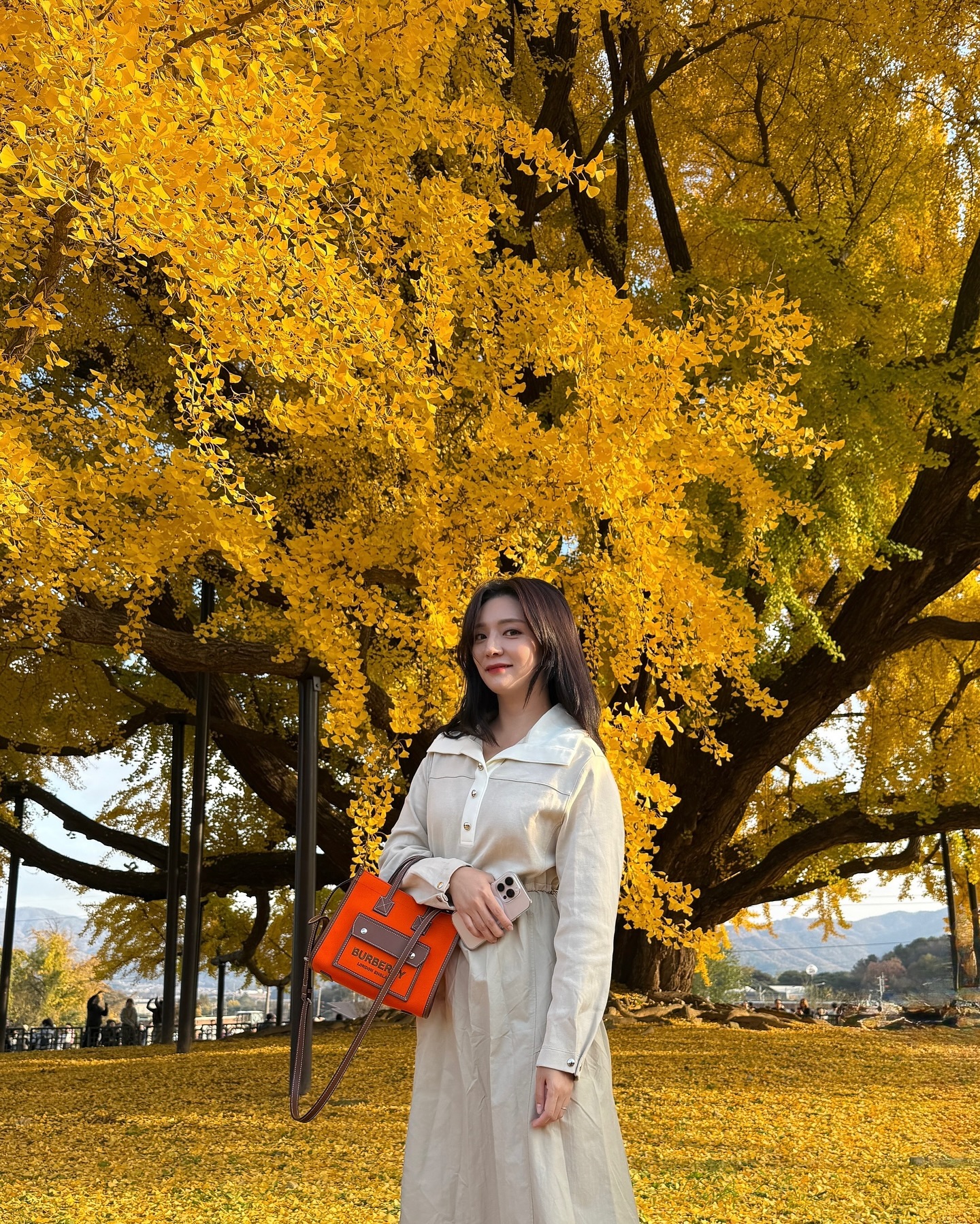 !????? 내용 날라갔오🫢 
요약
 #원주반계리은행나무 
#천연기념물 
수령800살이상
화장실 25분 줄서야함 
#마산아구이천쌀밥  블루리본집 맛있다👍🏼