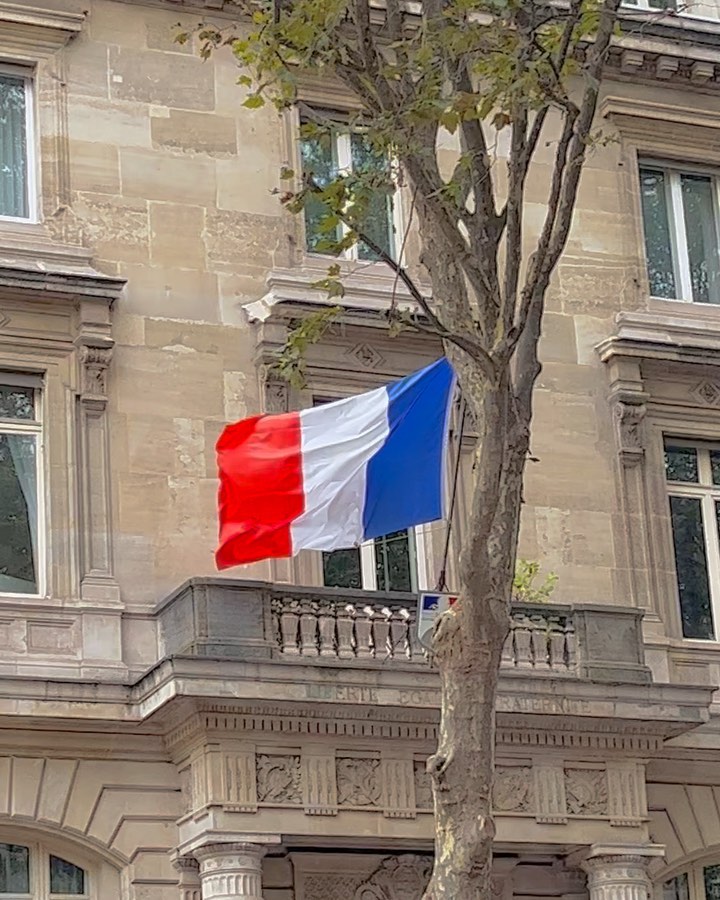 🇫🇷 파리-디종 모음

소매치기에 쌈박질에 zzl린내에 워! 놀래키는 외국인까지 있었다.

가는 날이 장날이라고 뭔 행사에 거리 통제까지 해서 반대쪽으로 건너고 싶어도 못 건너고 프랑스 기념품 성지인 몽쥬약국도 닫아서 서글픈 상황의 연속이었지만,
그럼에도 불구하고 또 가고 싶은 프랑스.. 왜 이쁘고 난리 ~
마지막 날의 쌍무지개로 싹 풀렸다

근데 정신적으로 너무 서터레스 받았다구요, 이제 유럽 면역력 풀로 채웠다 😈